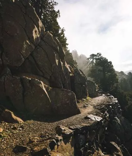 A smiling woman with her arms crossed, standing against a dark green background. She has long, dark hair.