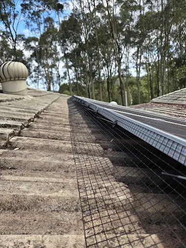 Bird deterrent and netting service, Central Coast NSW