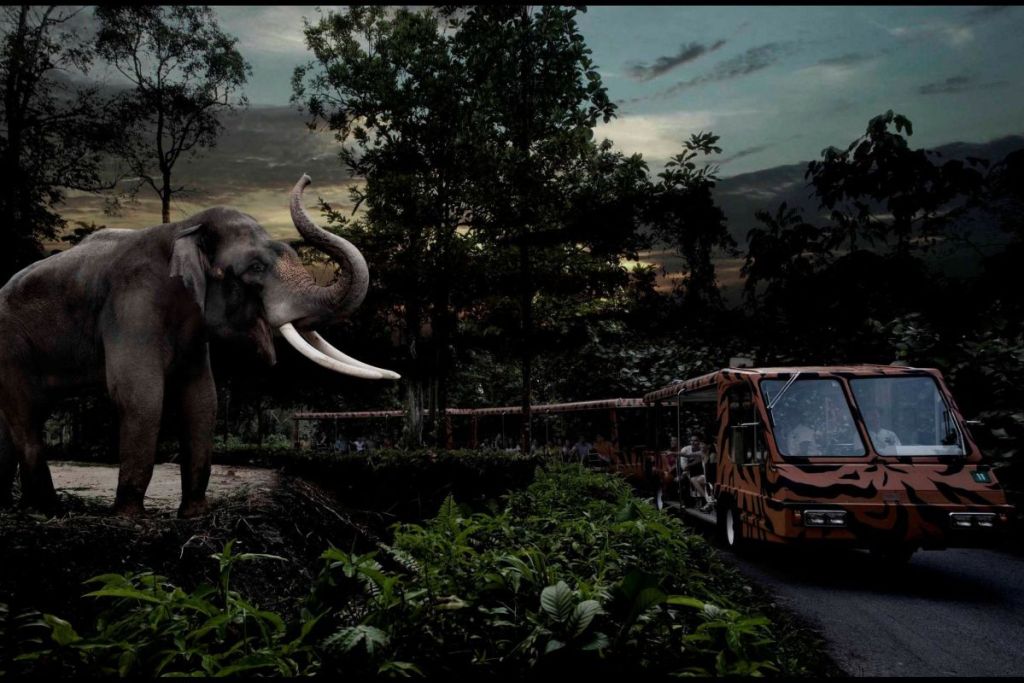 Night Safari tram and elephant, Mandai Wildlife Reserve