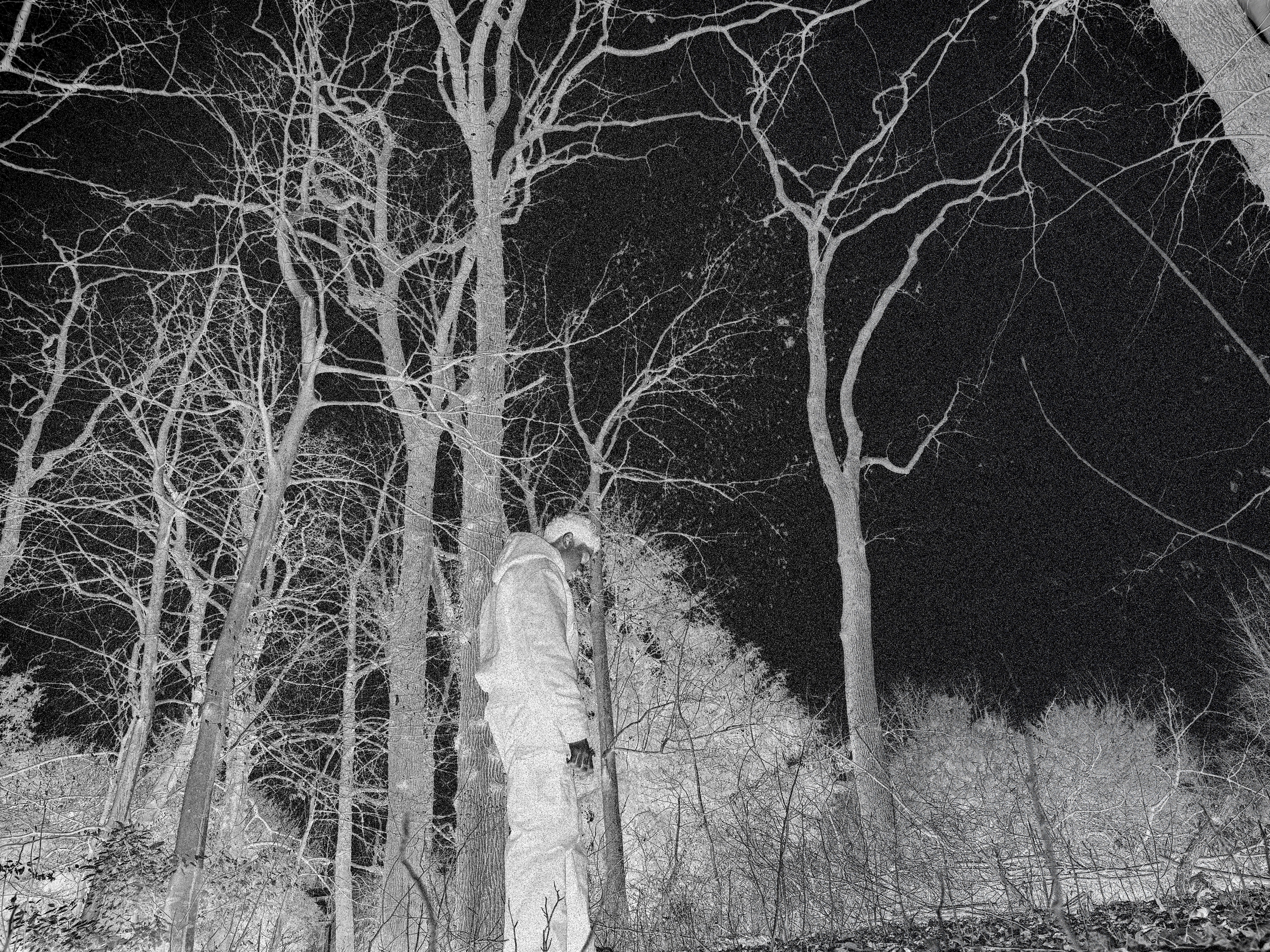 Me in the woods