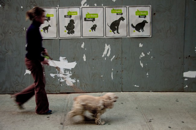 A woman walks a small, light brown dog on a leash on a concrete sidewalk. She wears a dark long-sleeved shirt and brown pants. Behind her is a gray wall with five white rectangular signs, each displaying a silhouette of a dog and the word “flushit” beneath it. The signs are arranged horizontally. The woman is walking away from the viewer, and the dog is moving forward.