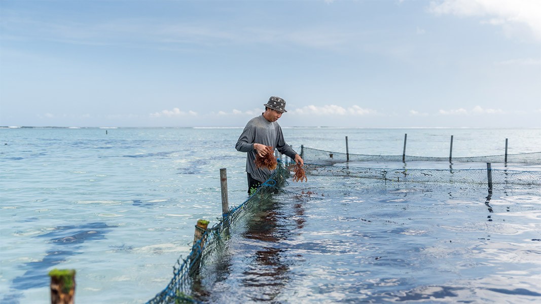 A man wearing a gray long-sleeved shirt and a bucket hat stands in shallow, clear water, holding a net. He is positioned near a wire fence that extends into the water. The sky is mostly blue with a few scattered clouds. The water appears calm and reflective.