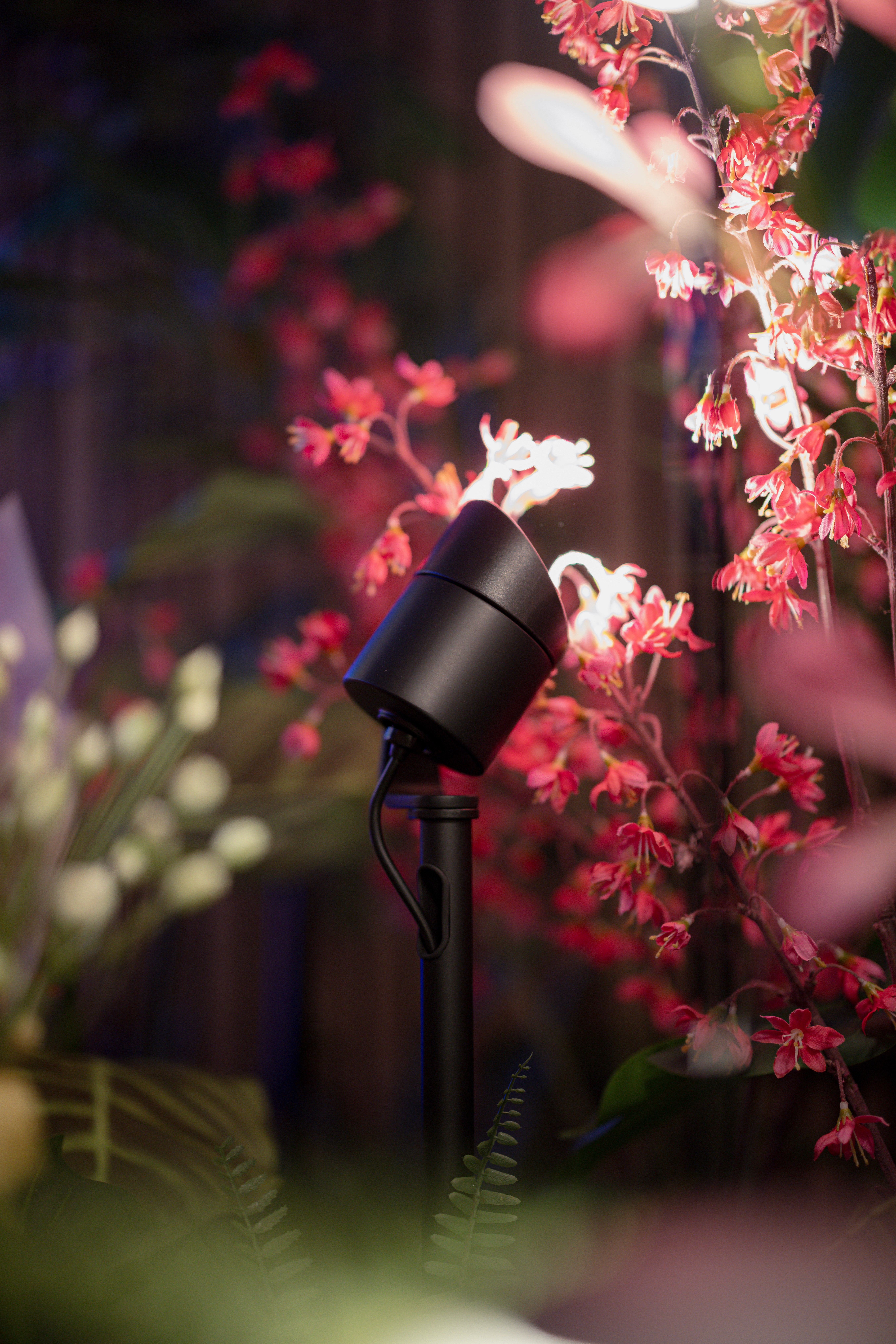 Here comes the alt text