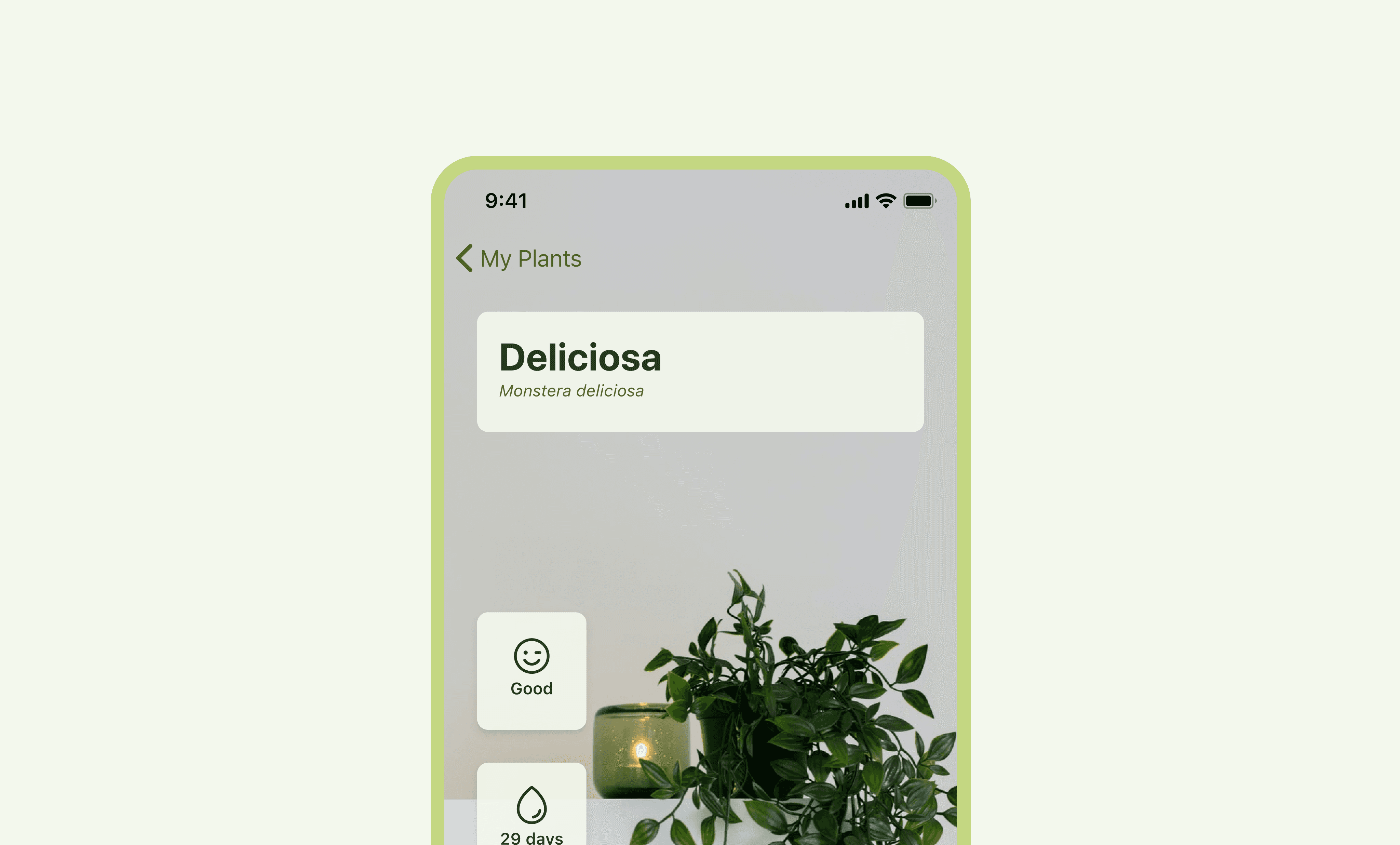 The image featured in the carousel #4