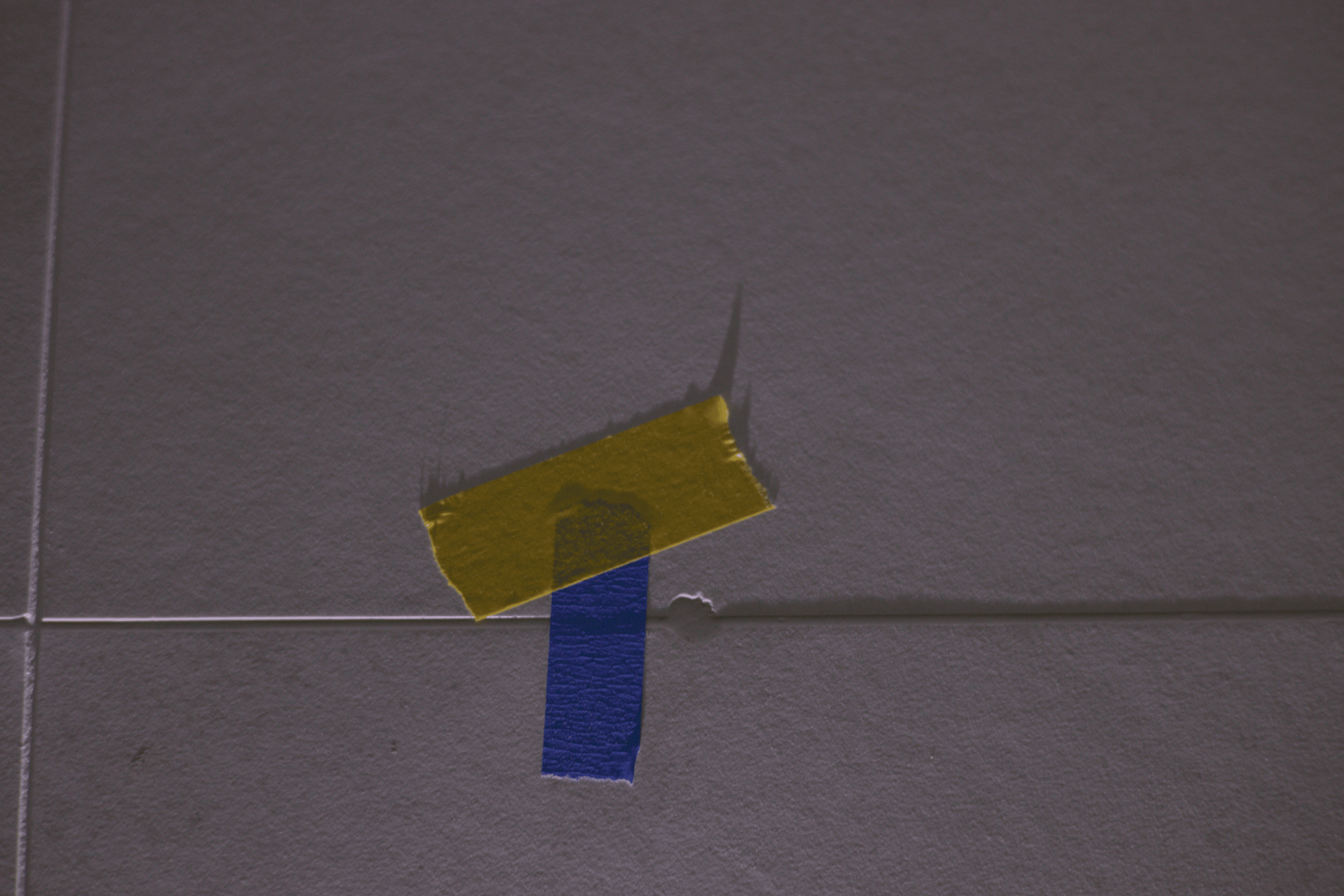 Close-up of a tree stump showing growth rings and a textured brown wood surface.