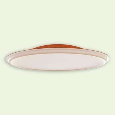 Fiberglass Ceiling Dome CD60x13 B45
