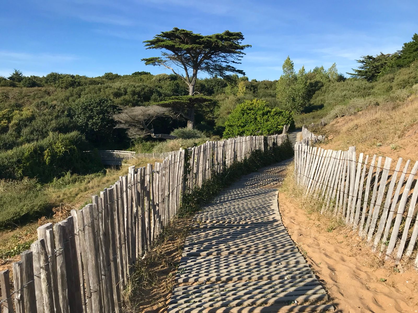 photo du port de Pornic