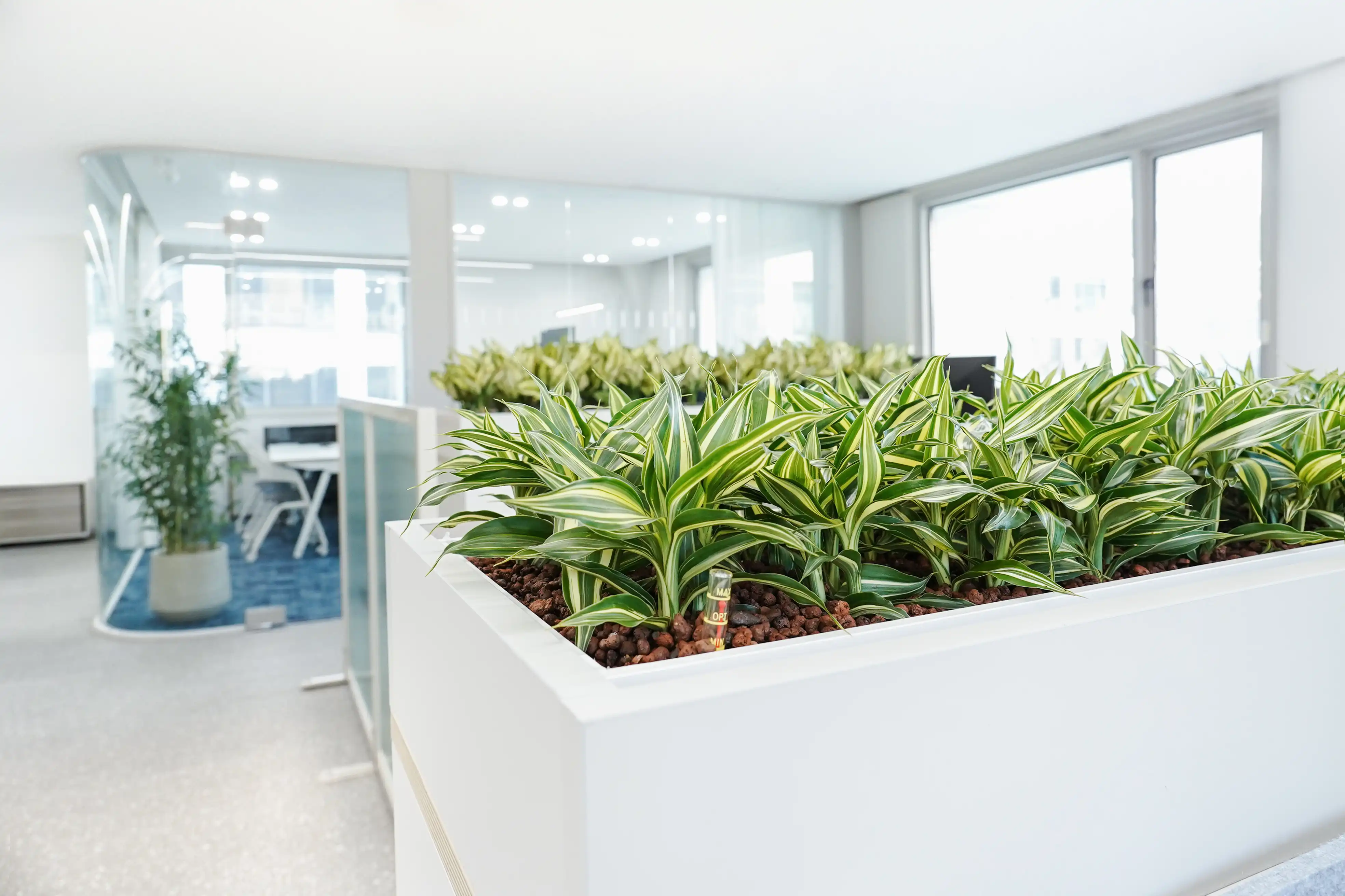 에코피플이 조성한 사무실 실내조경디자인