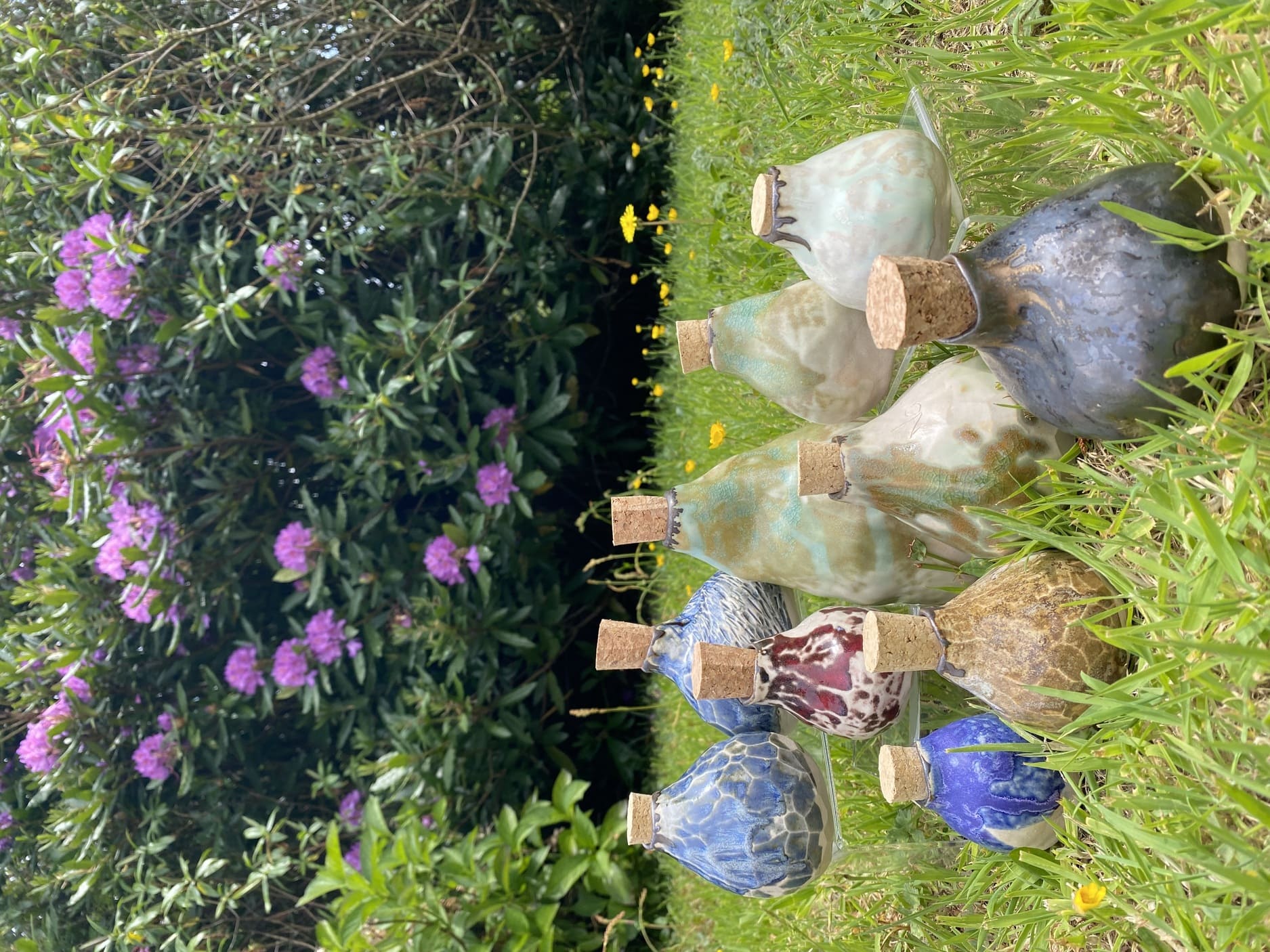 Mayra's ceramics on the lawn