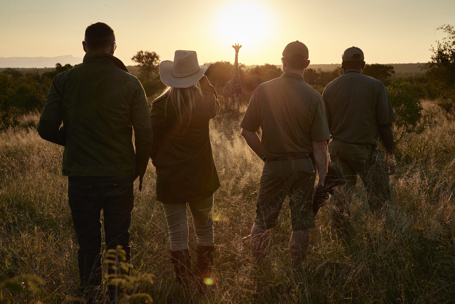Walking single-file through golden grass toward a distant giraffe