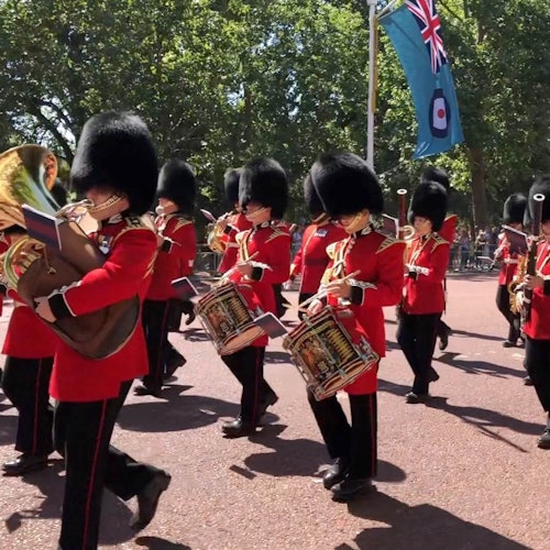 前往白金汉宫观看卫兵交接仪式。