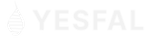 A dummy company logo