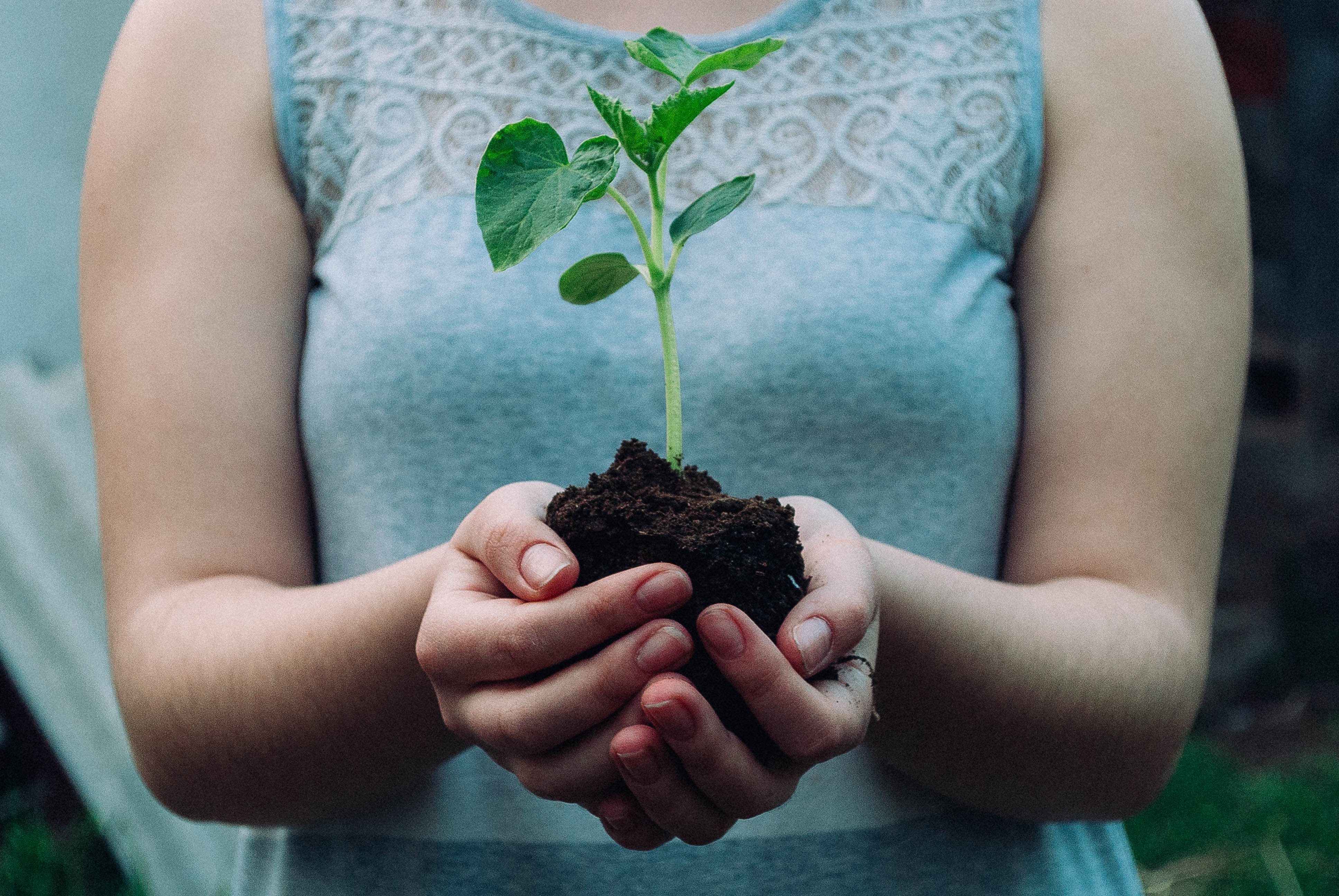 A woman holding a tree sapling in her hands