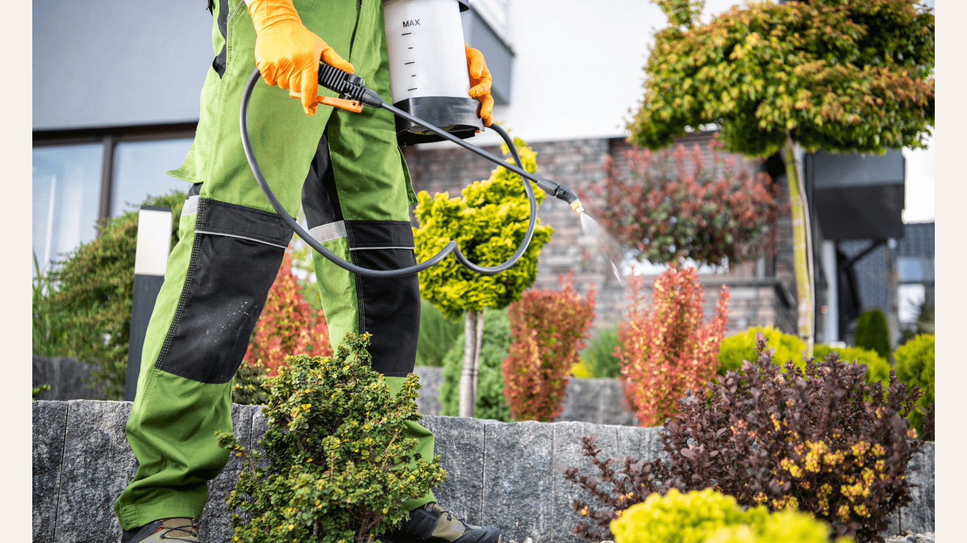 how-ai-recommends-home-services pic