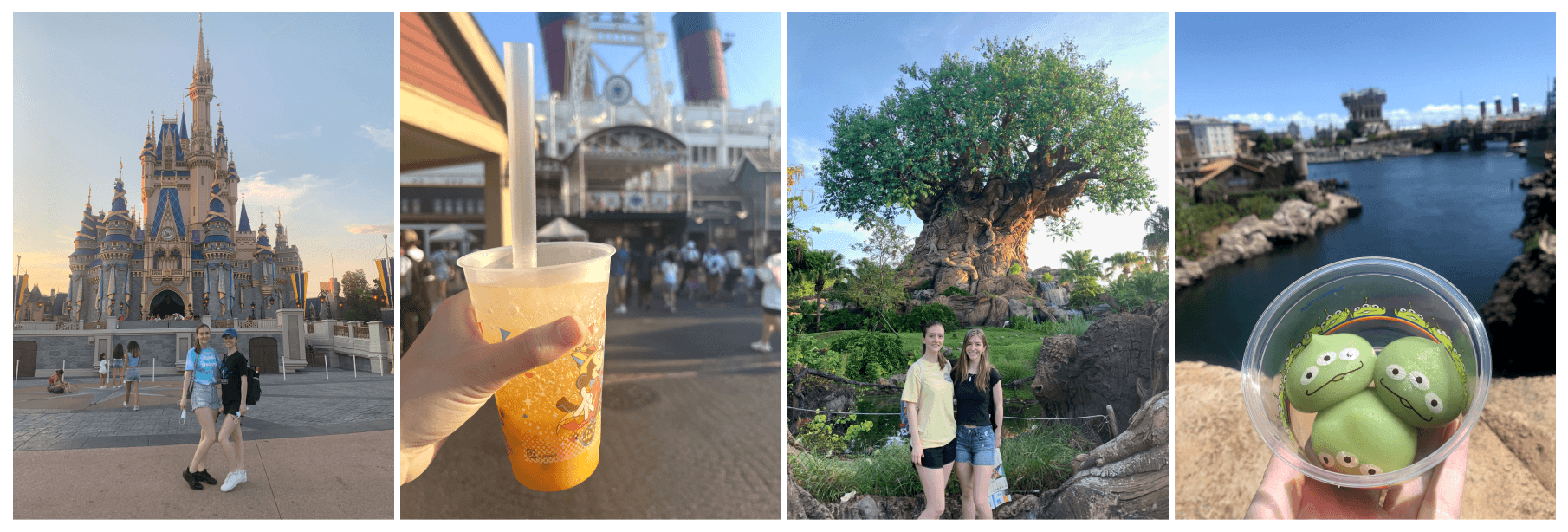 A collage of images of me at theme parks.