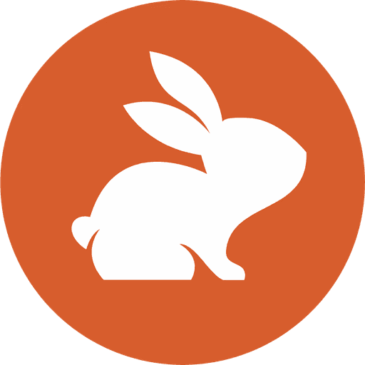 Code Rabbit