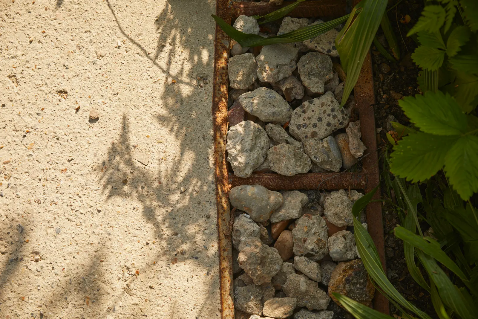 A close-up view of gray stones nestled in a sandy area, surrounded by green foliage and shadows.