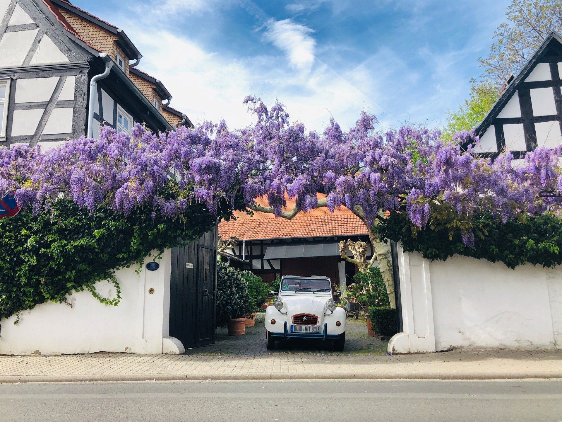 A vintage white car is parked under an archway of lush purple wisteria, surrounded by traditional half-timbered houses, creating a picturesque European street scene.