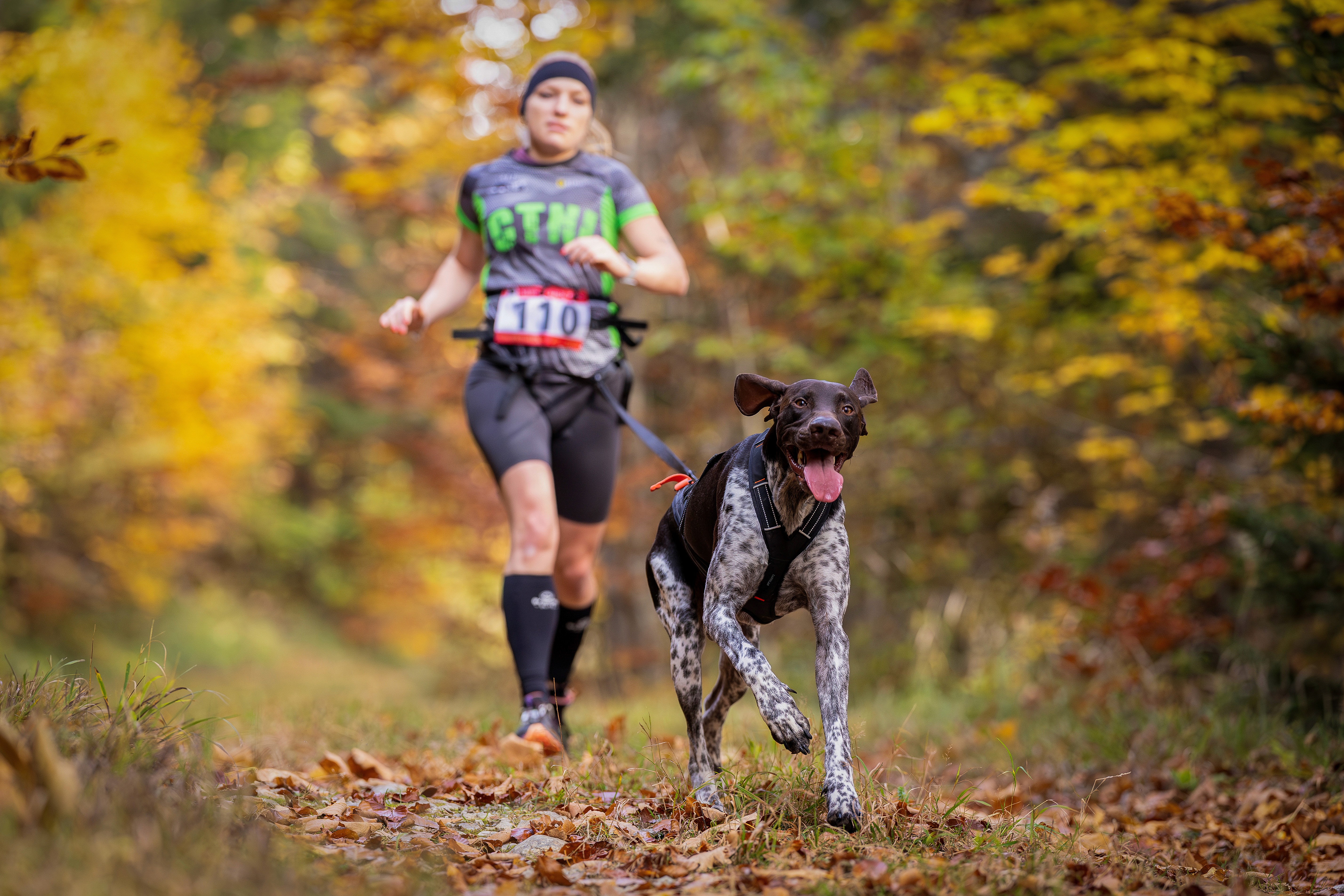 The image featured at the top of the about us page #1