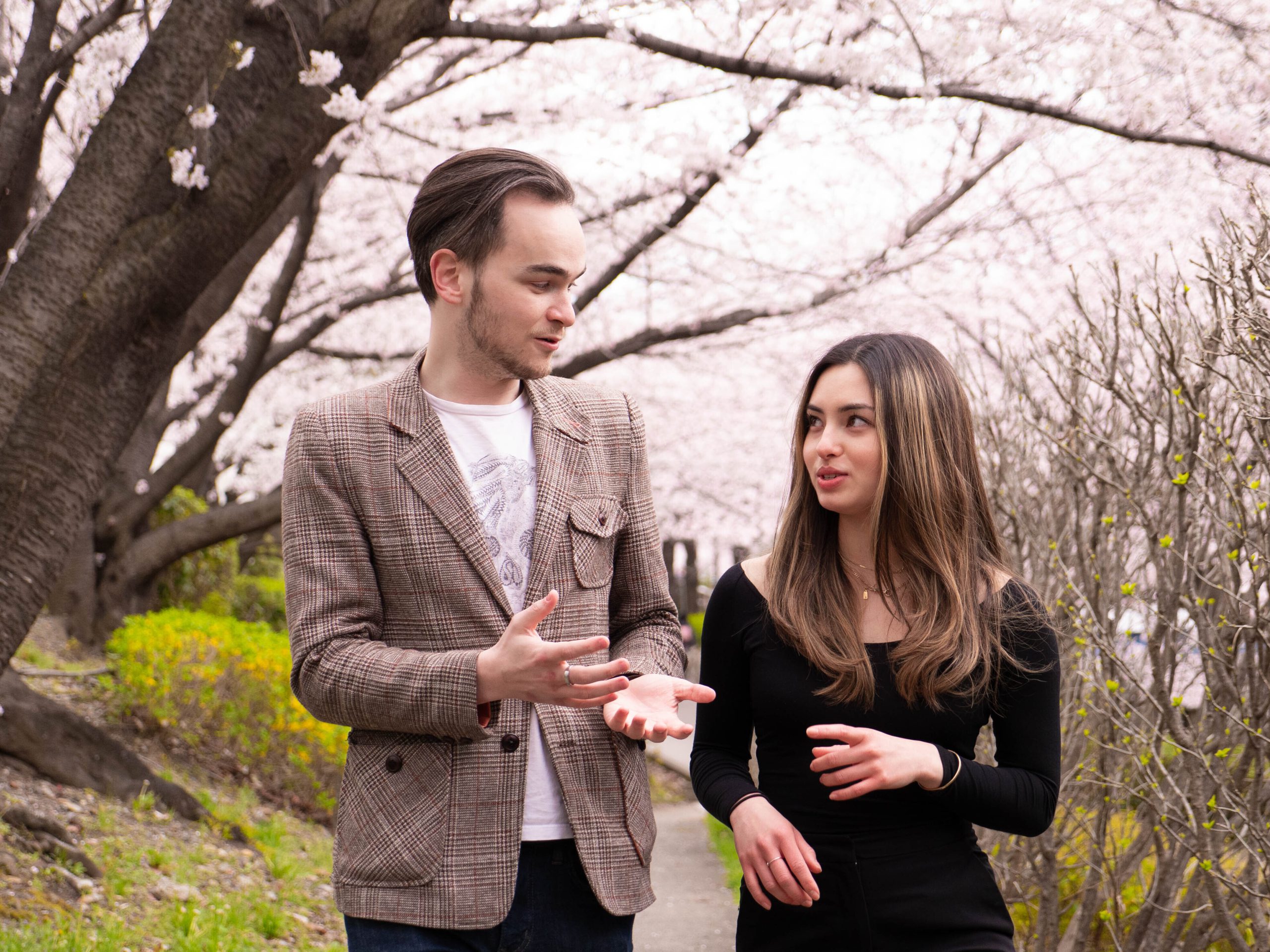 Real estate agents walking under Tokyo sakura trees