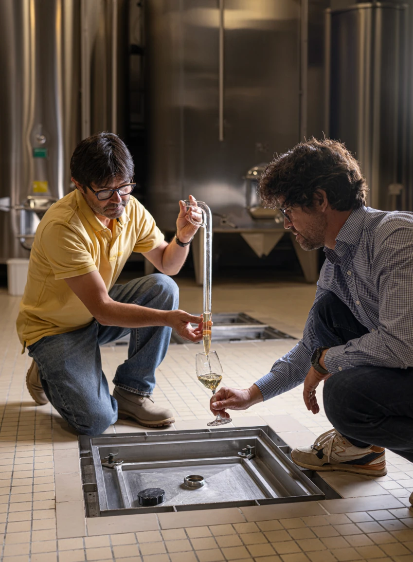Dégustation du vin prélevé dans une cuve souterraine