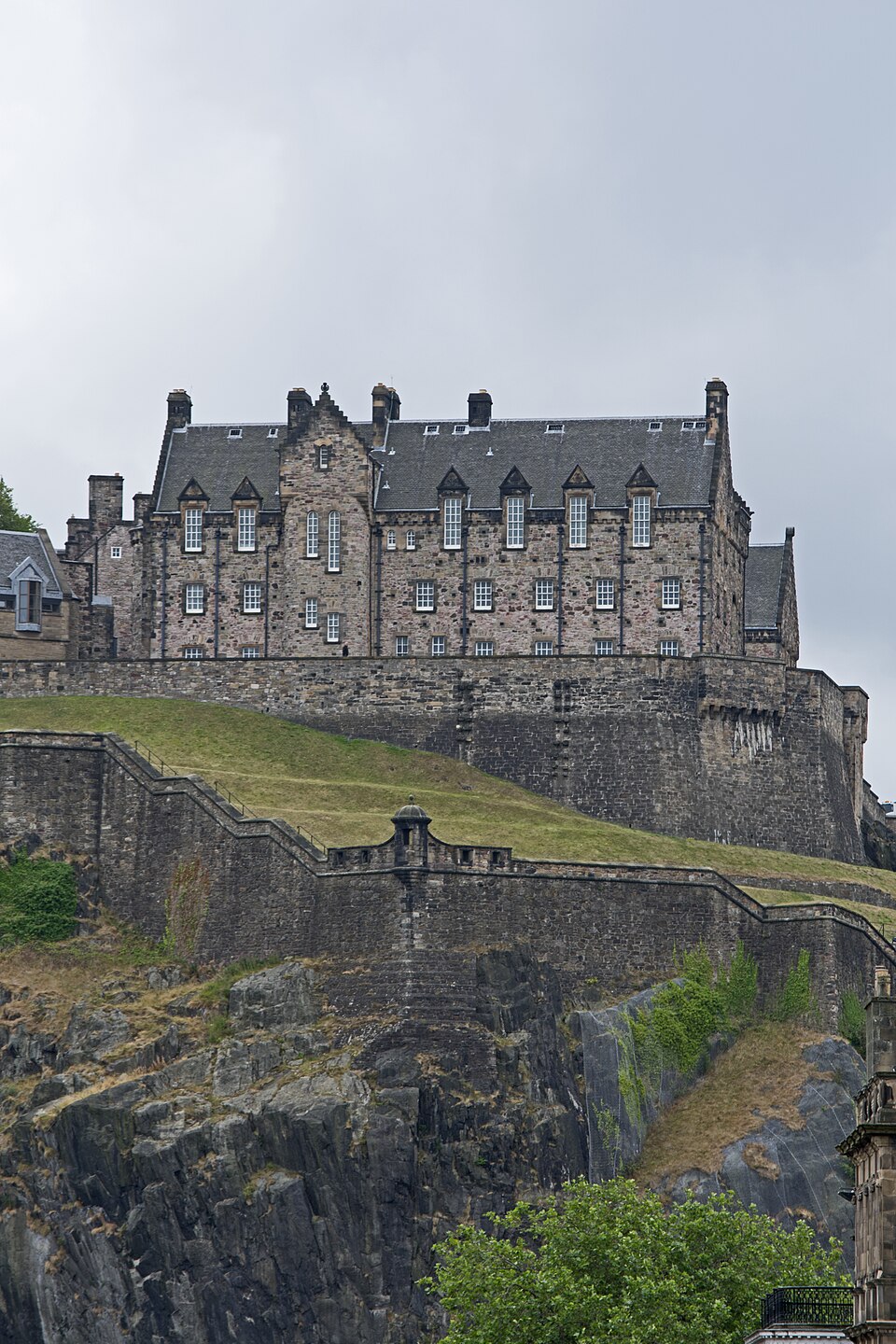 a tree with pink flowers in front of a store