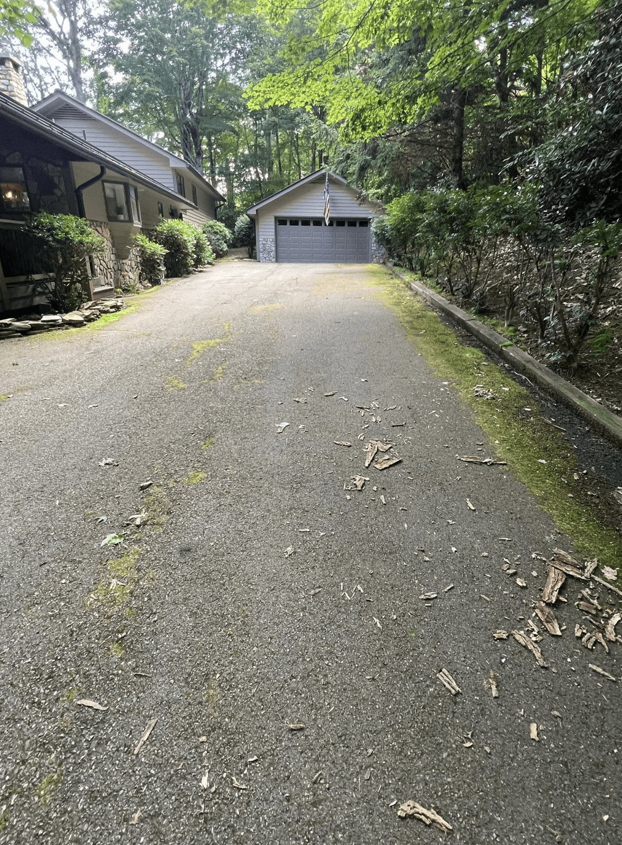 Before driveway cleaning