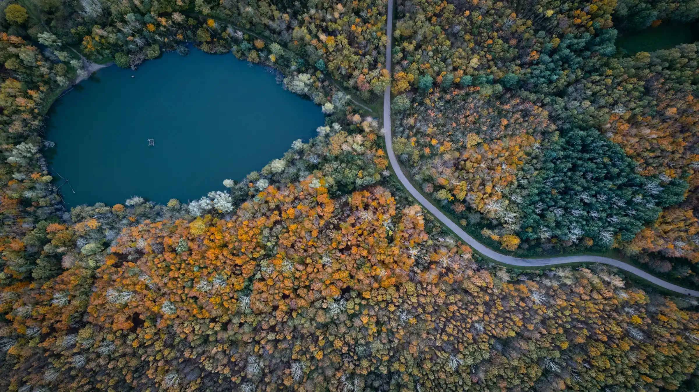 Jülich, Sophienhöhe, herbstlicher Wald mit Waldsee aus der Luft