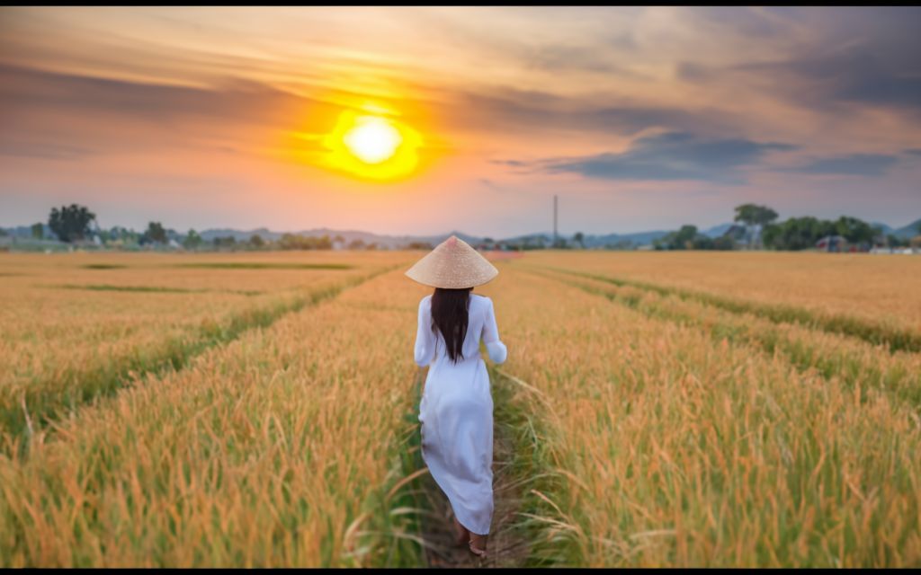 Names commonly used by Vietnamese women