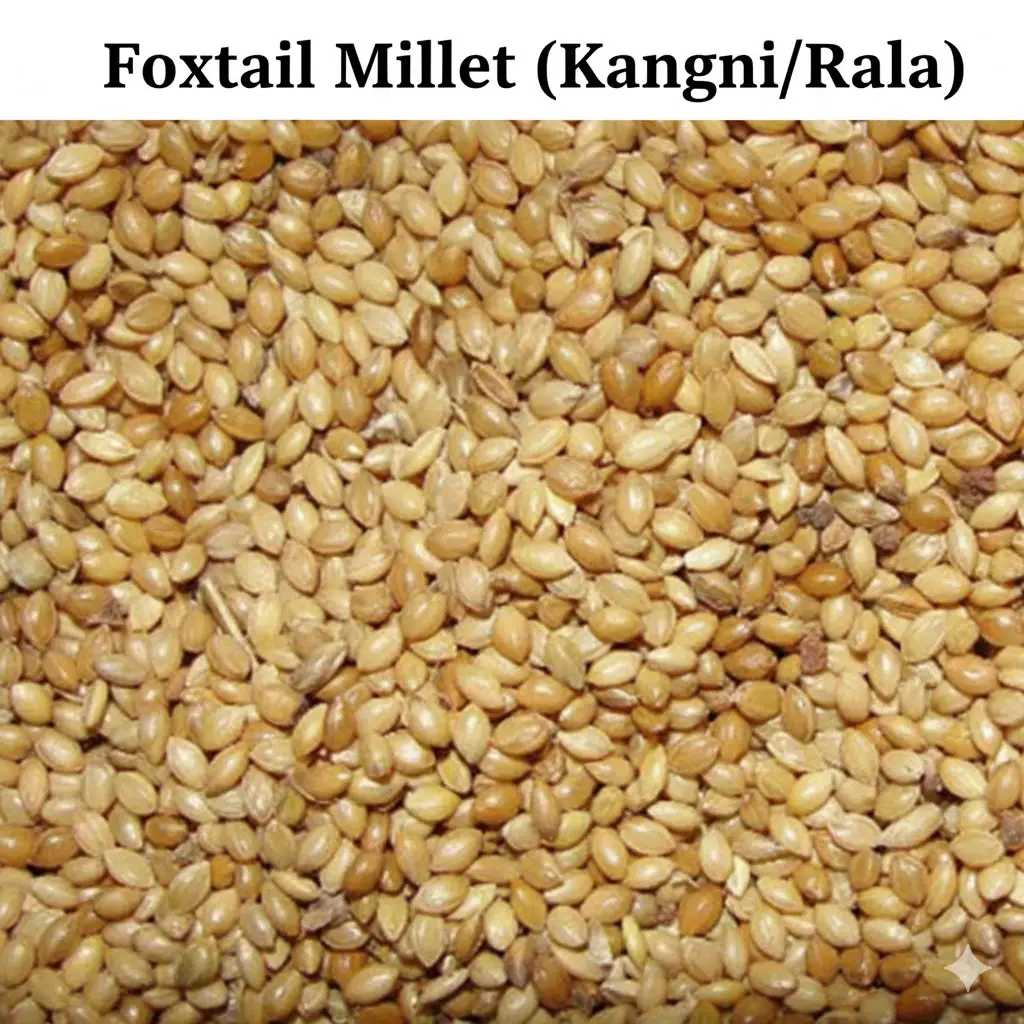 Foxtail Millet Kangni, Rala