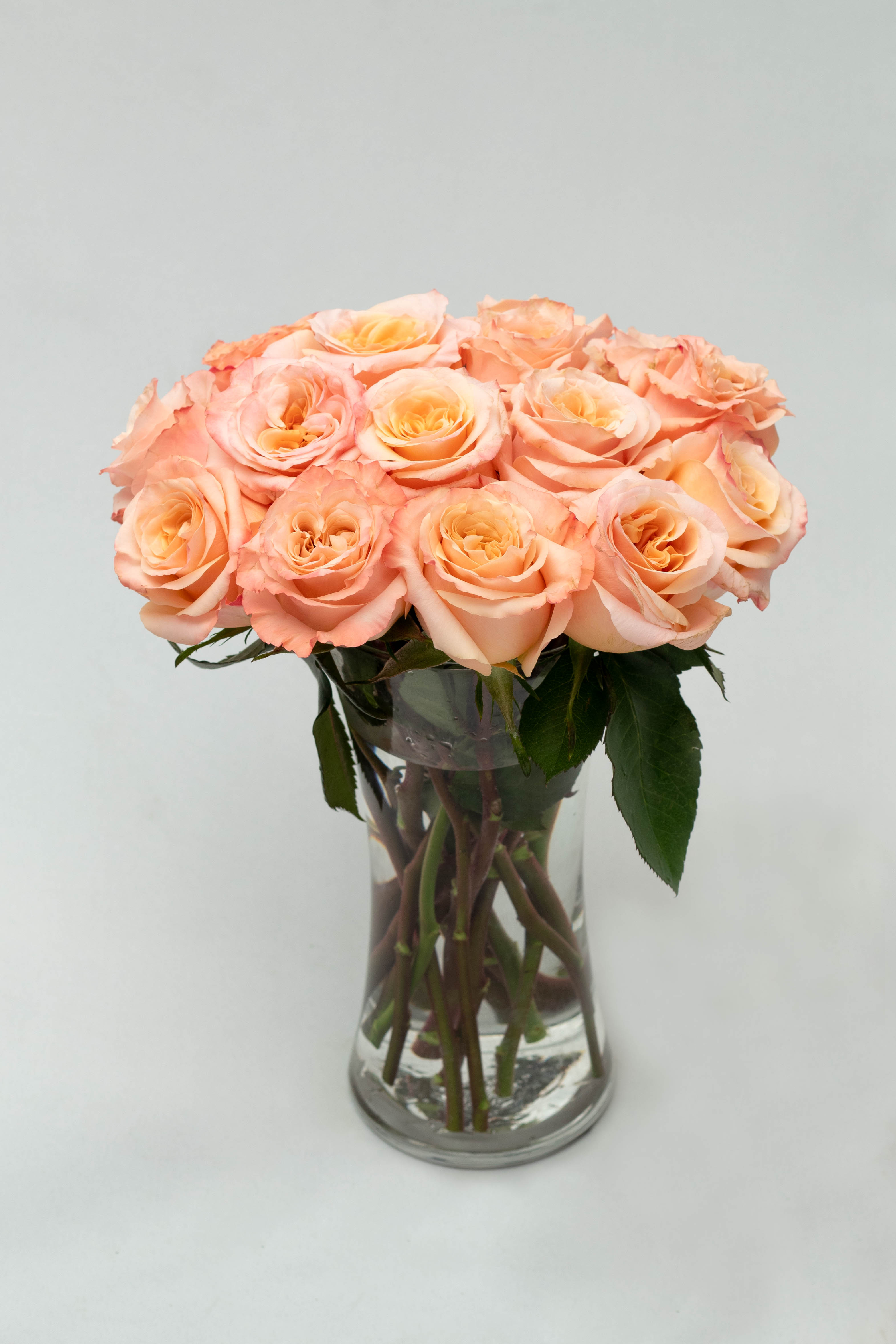 white chair near white wall