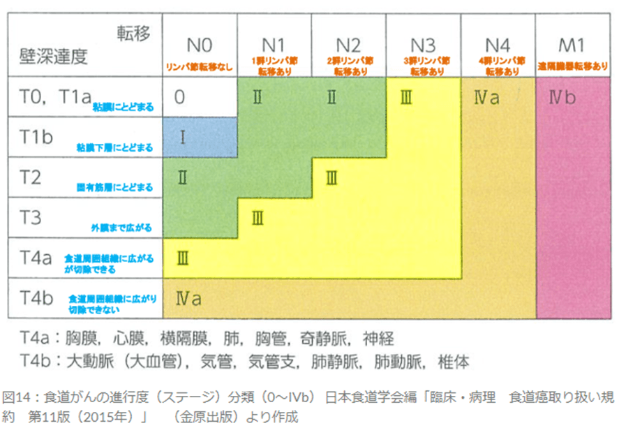 食道がんのステージ分類