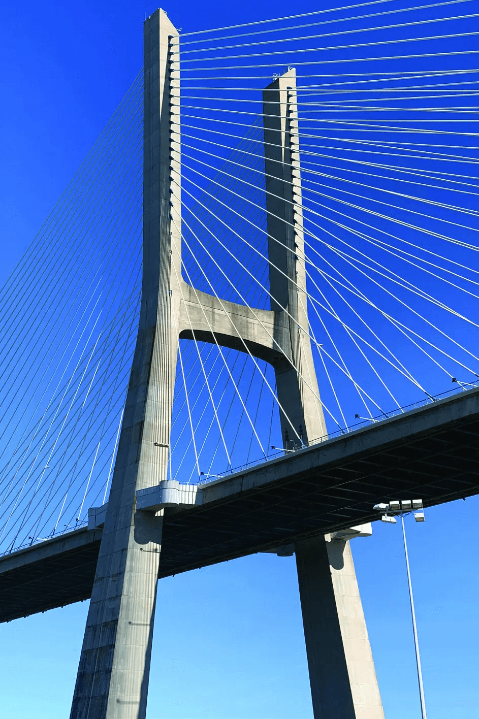 Future-Ready Transportation