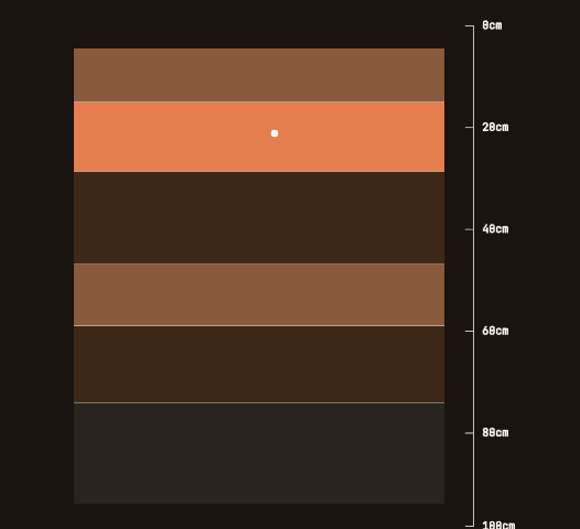 Soil stratification diagram showing horizontal layers at varying depths from surface to 100cm, with color-coded bands representing different soil compositions and carbon content levels.