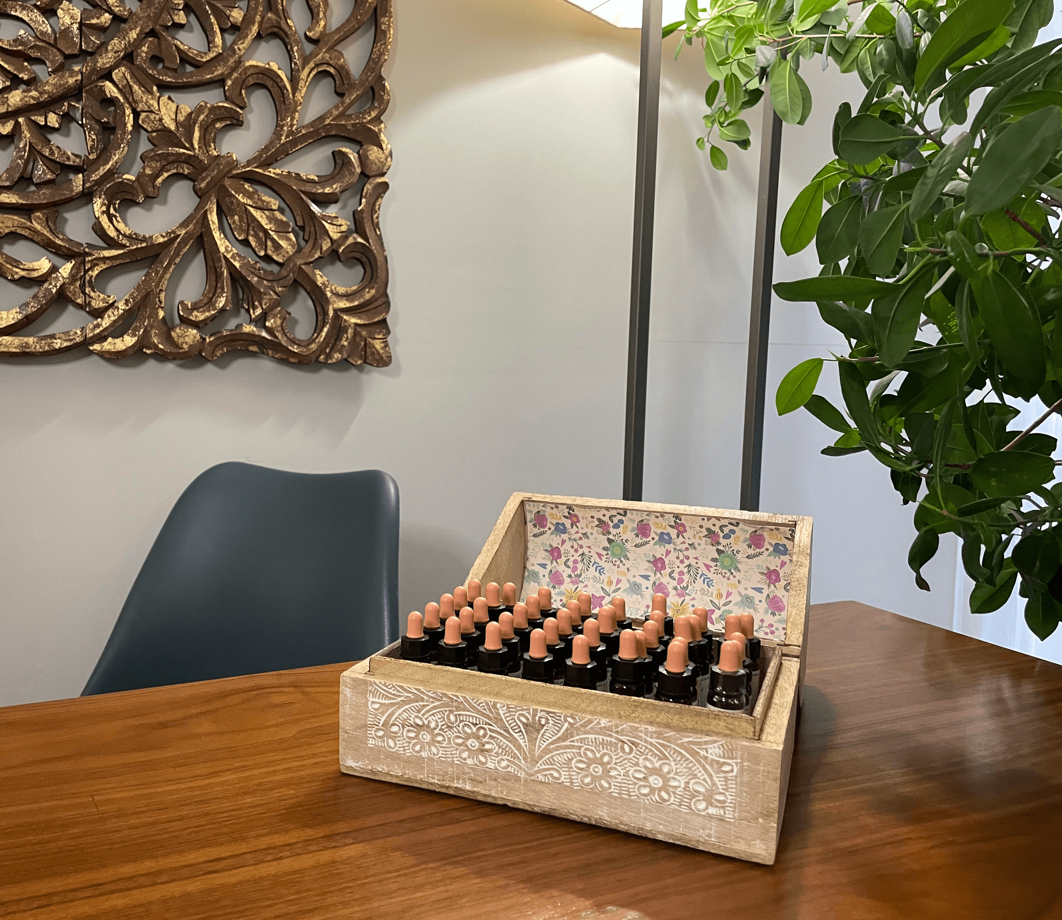 Imagem Retrato da Doutora Carla