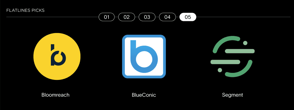 Flatlines CDP-Auswahl für B2B-Dienstleister: Logos von Bloomreach, BlueConic und Segment