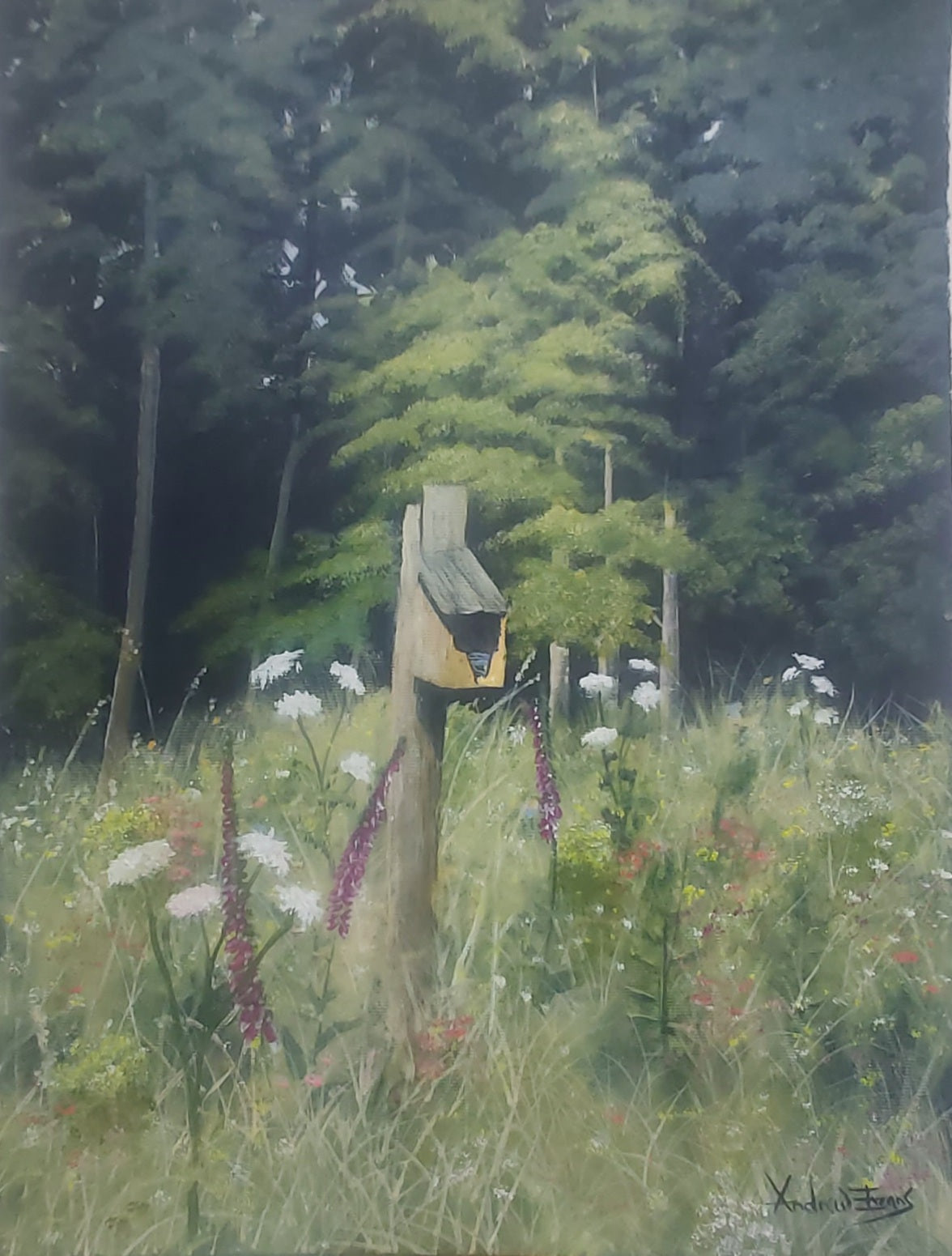 Nest Box art print by Andrew Evans