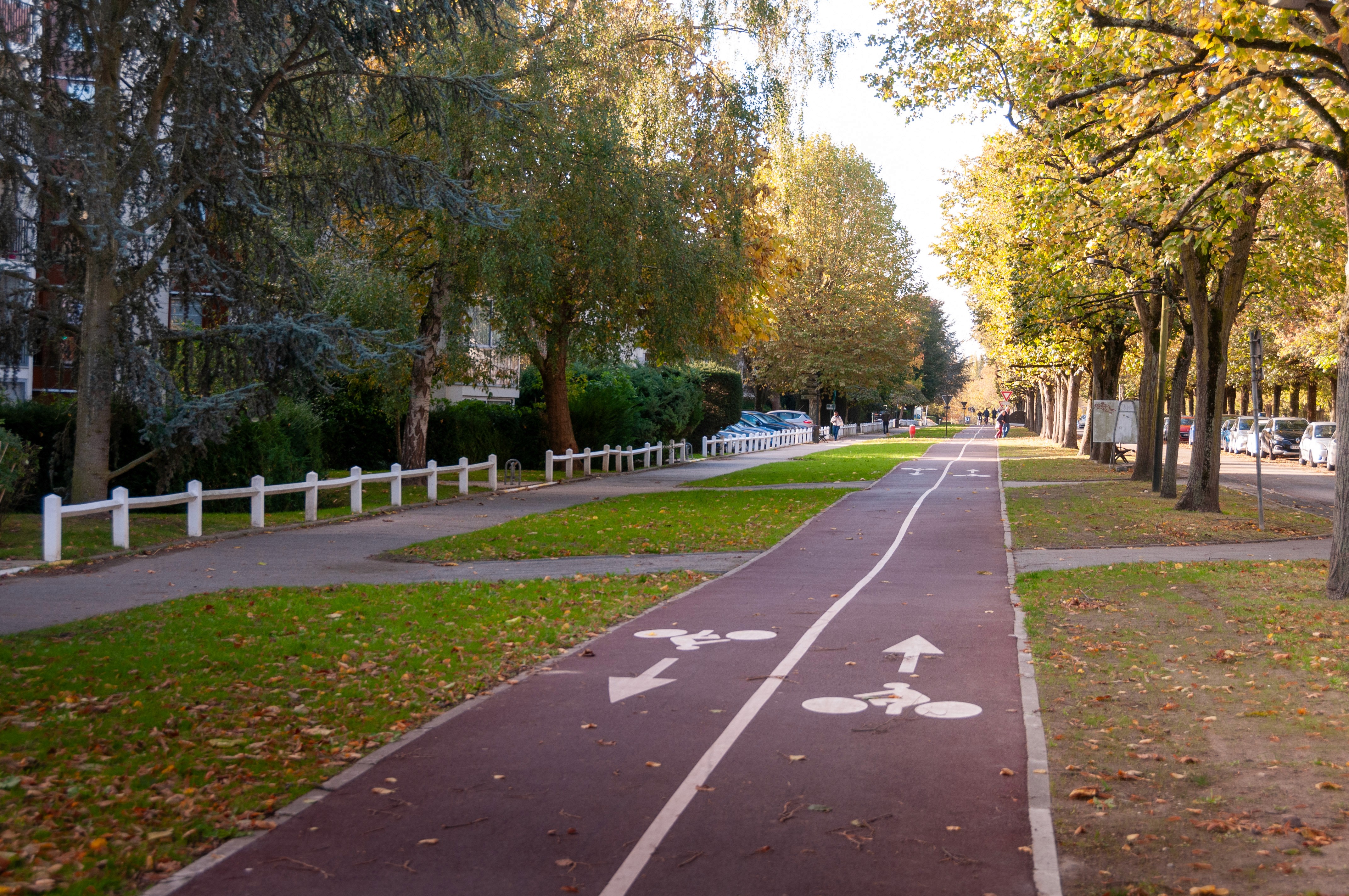 Image bibliothèque en droit