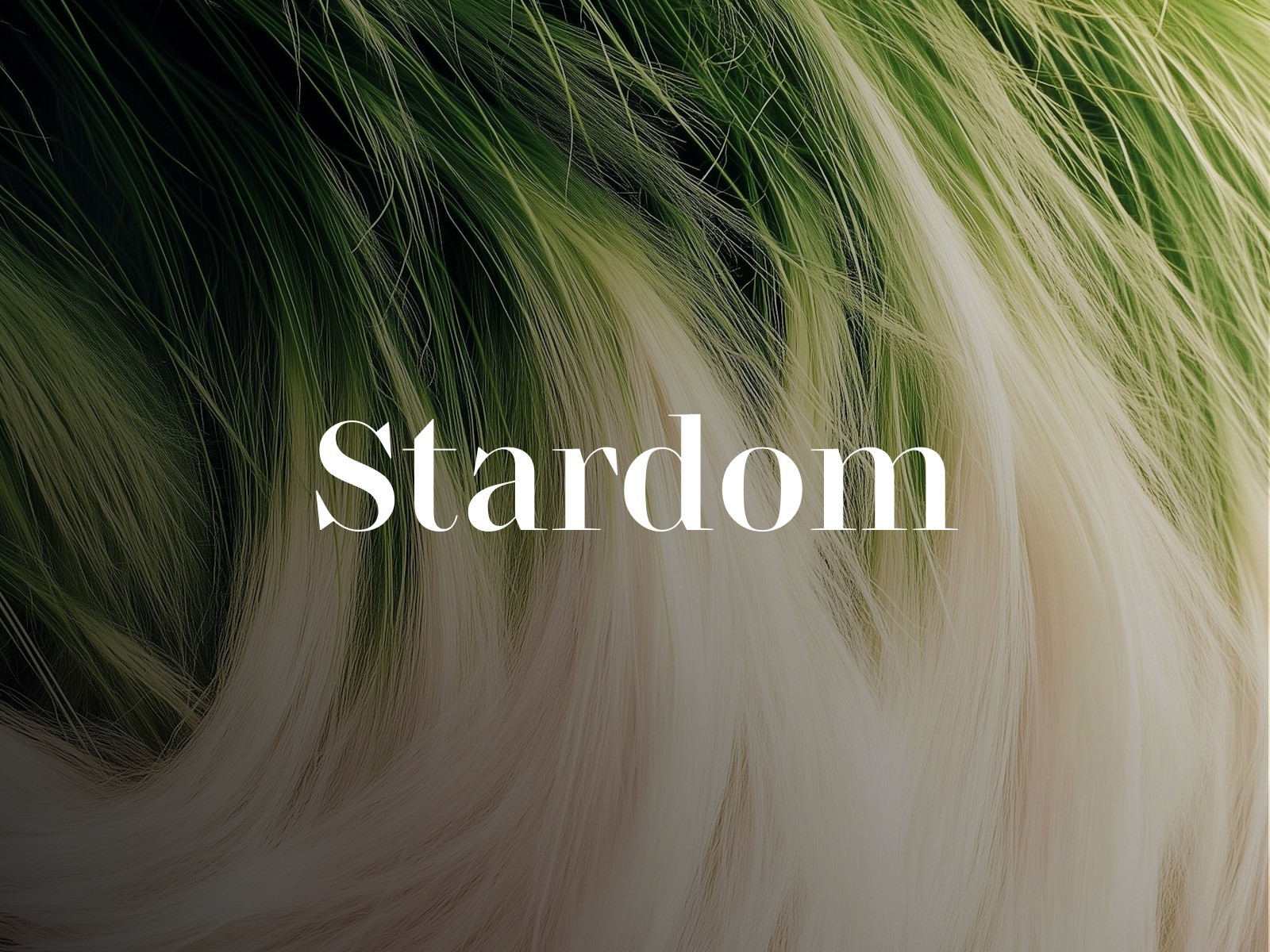 20+ Best Display fonts for your Framer website