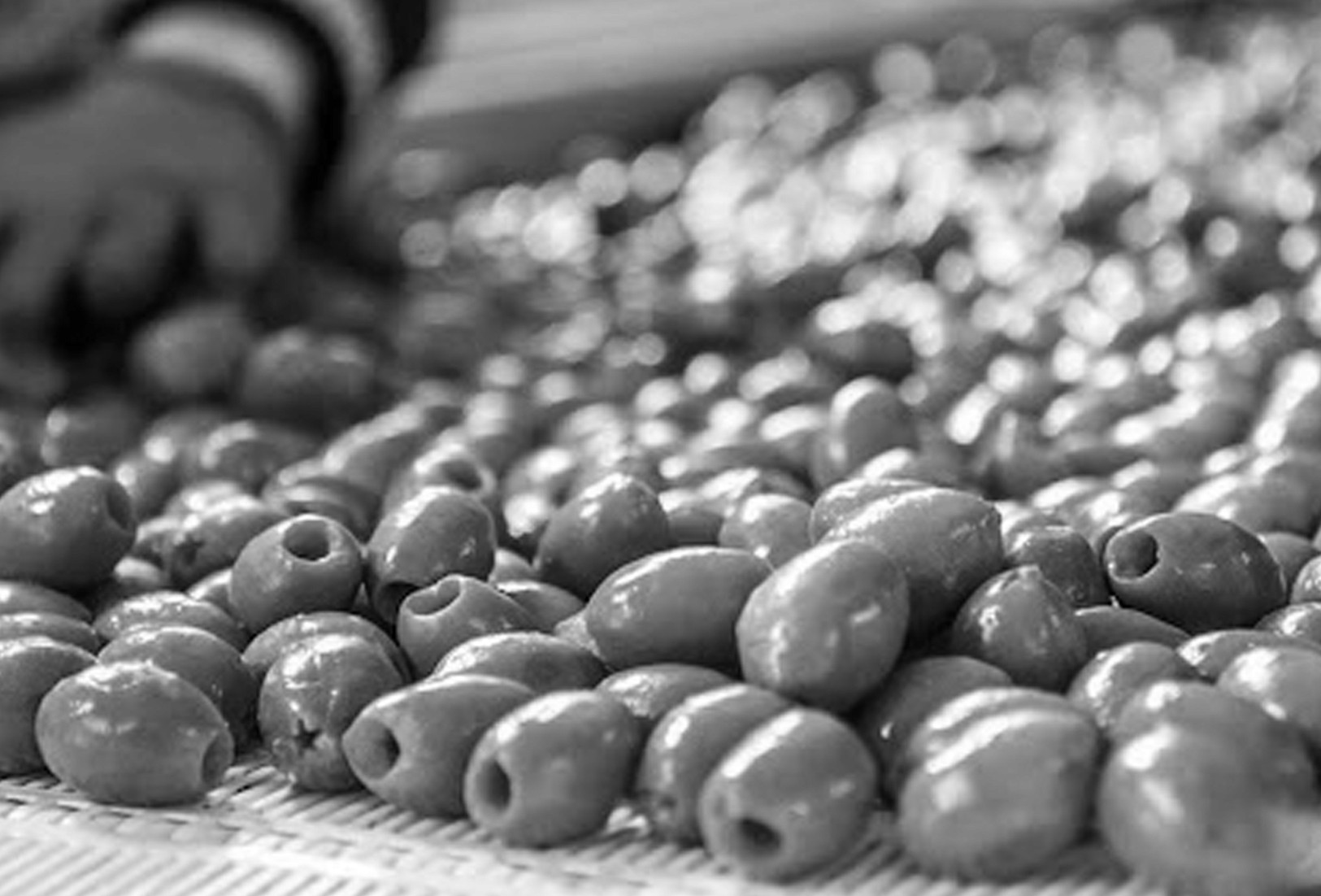 The best olives grown by The Real Olive Company which are getting supplied to As One Restaurant Dublin