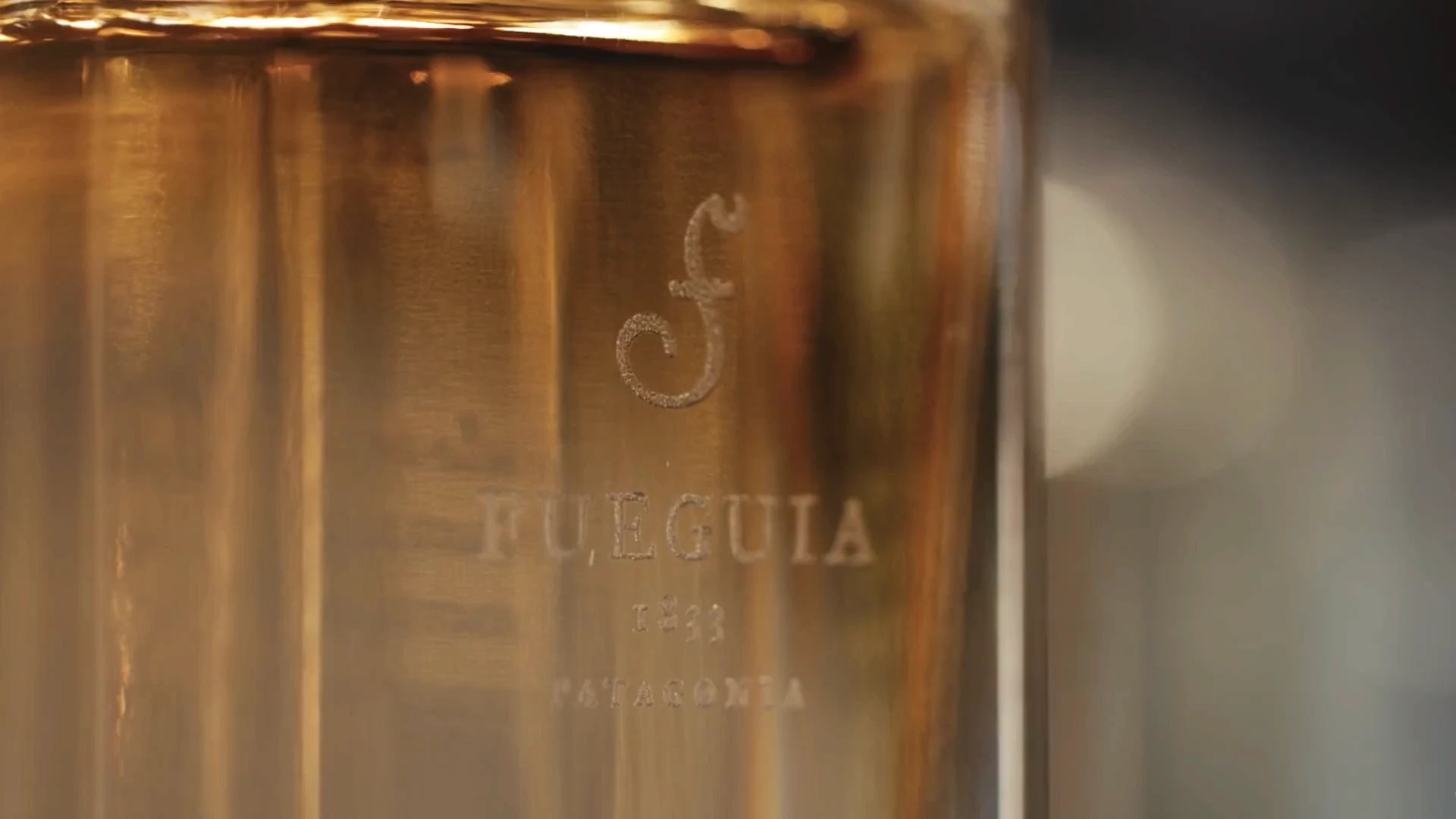 Fueguia for Fueguia: opening image showing a nature-led campaign scene with organic light and a calm composition.