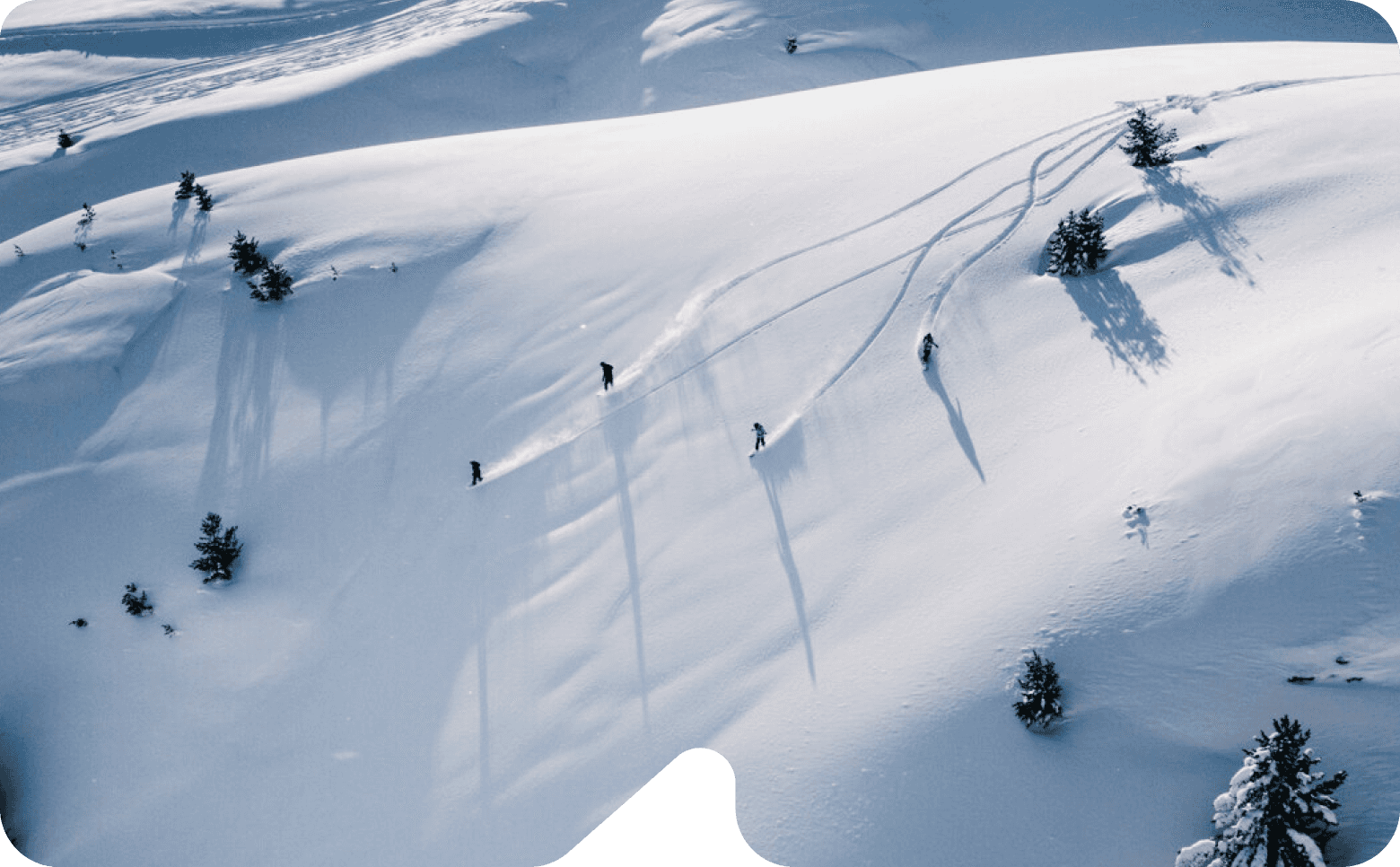 Groupshot powder snowboarding day in Kosovo