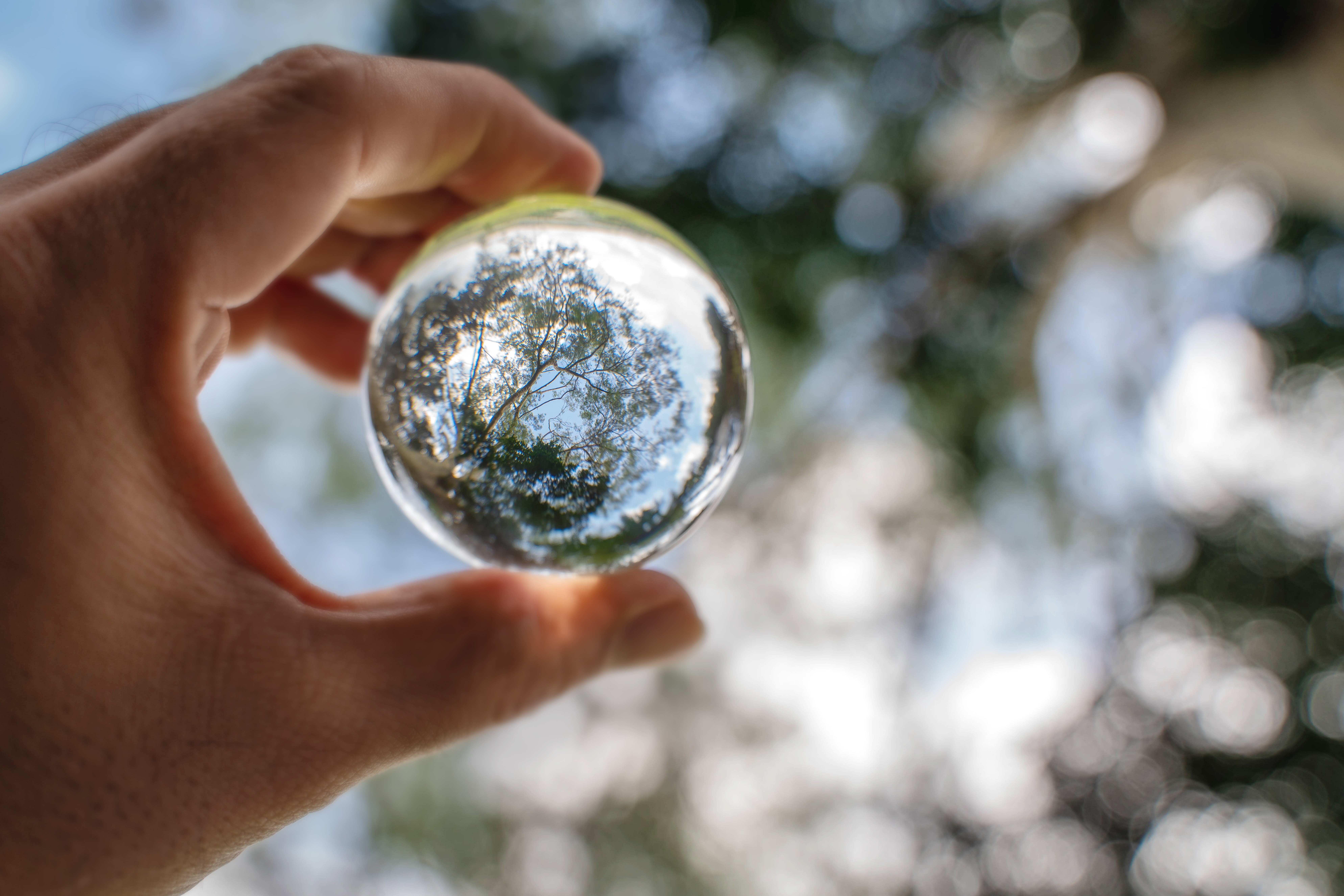 Hand holding a glass globe against a natural background