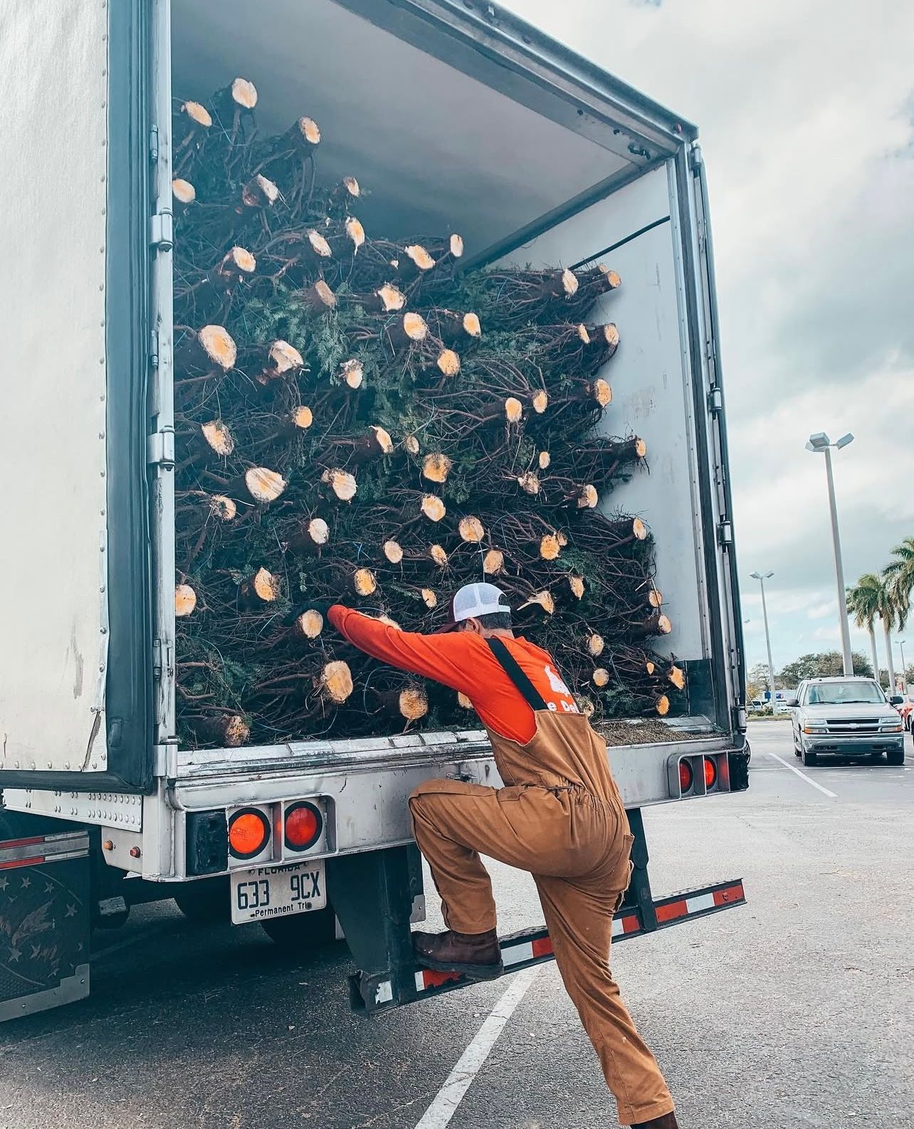 delivery truck filled with christmas trees