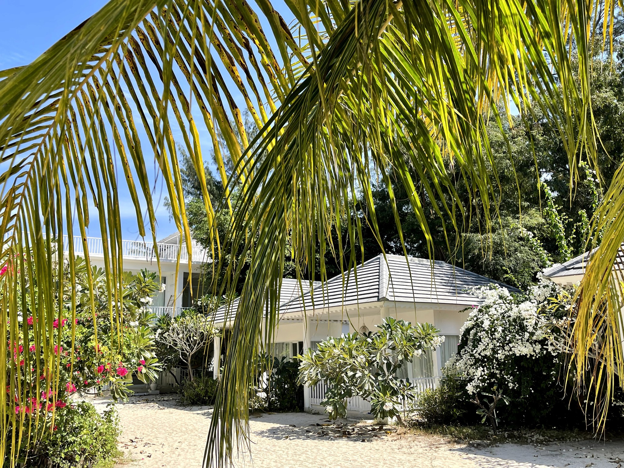 Seri Beach Bungalow Trees