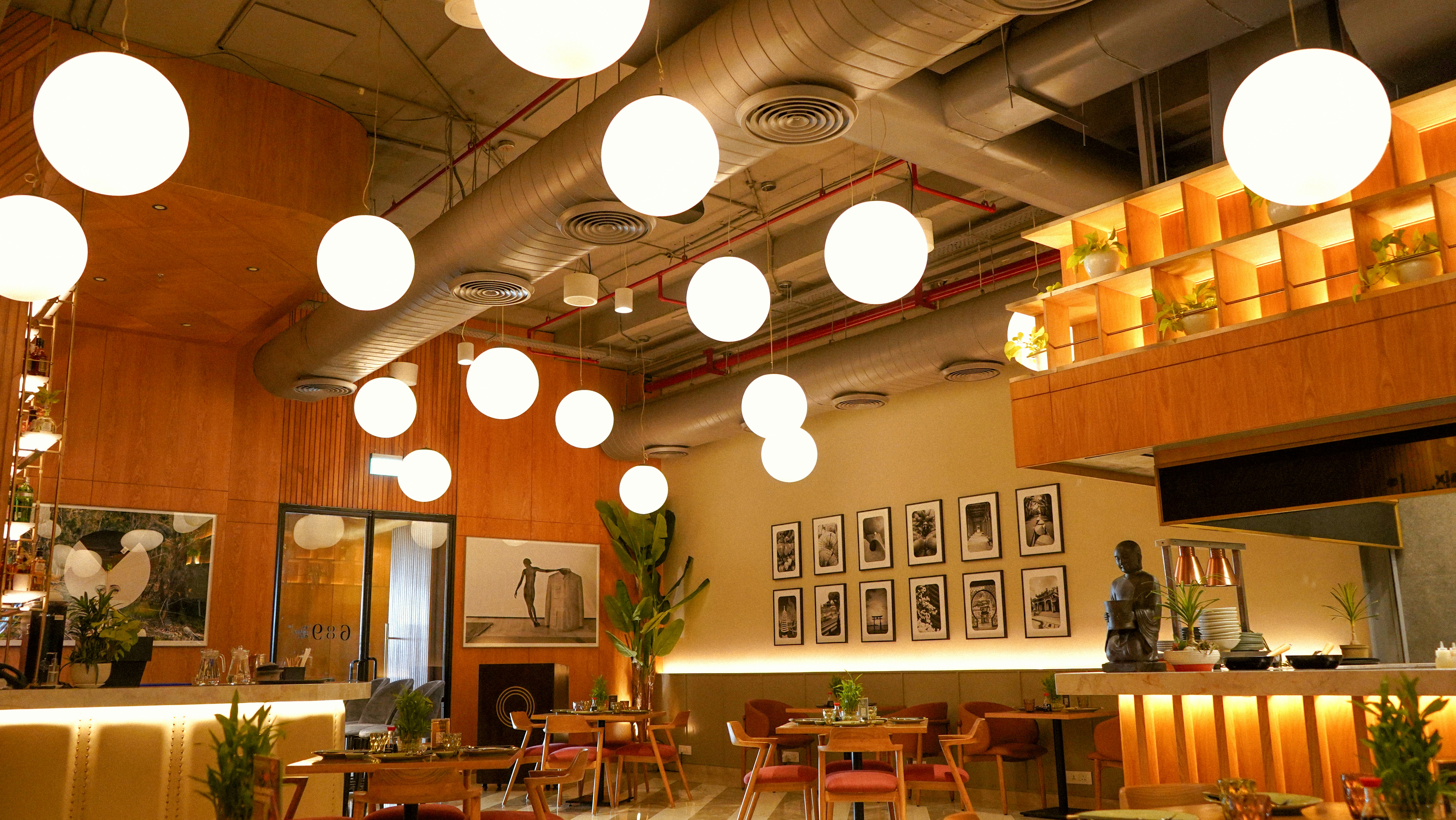 A close-up view of dark green leaves, creating a lush, textured background with subtle variations in color.