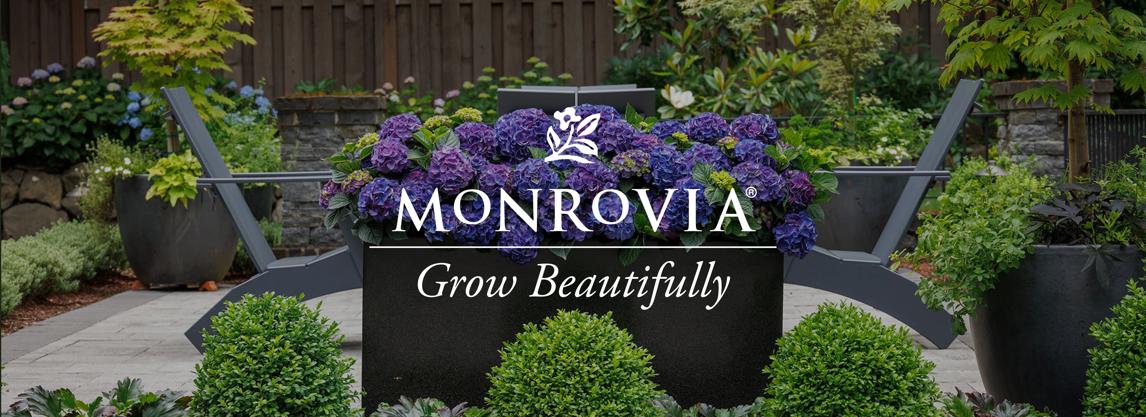 Main image showcasing the project.