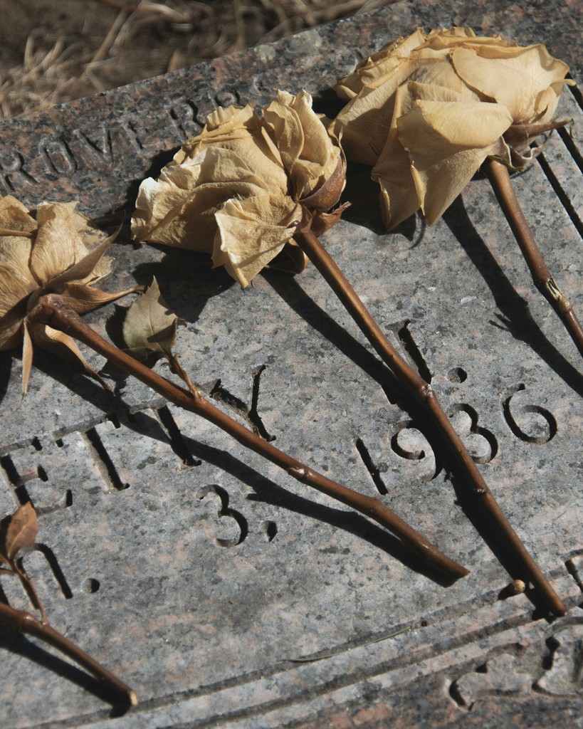 Close-up of dried roses laid on a weathered gravestone, highlighting engraved text with a date from 1936, symbolizing a poignant tribute and remembrance.