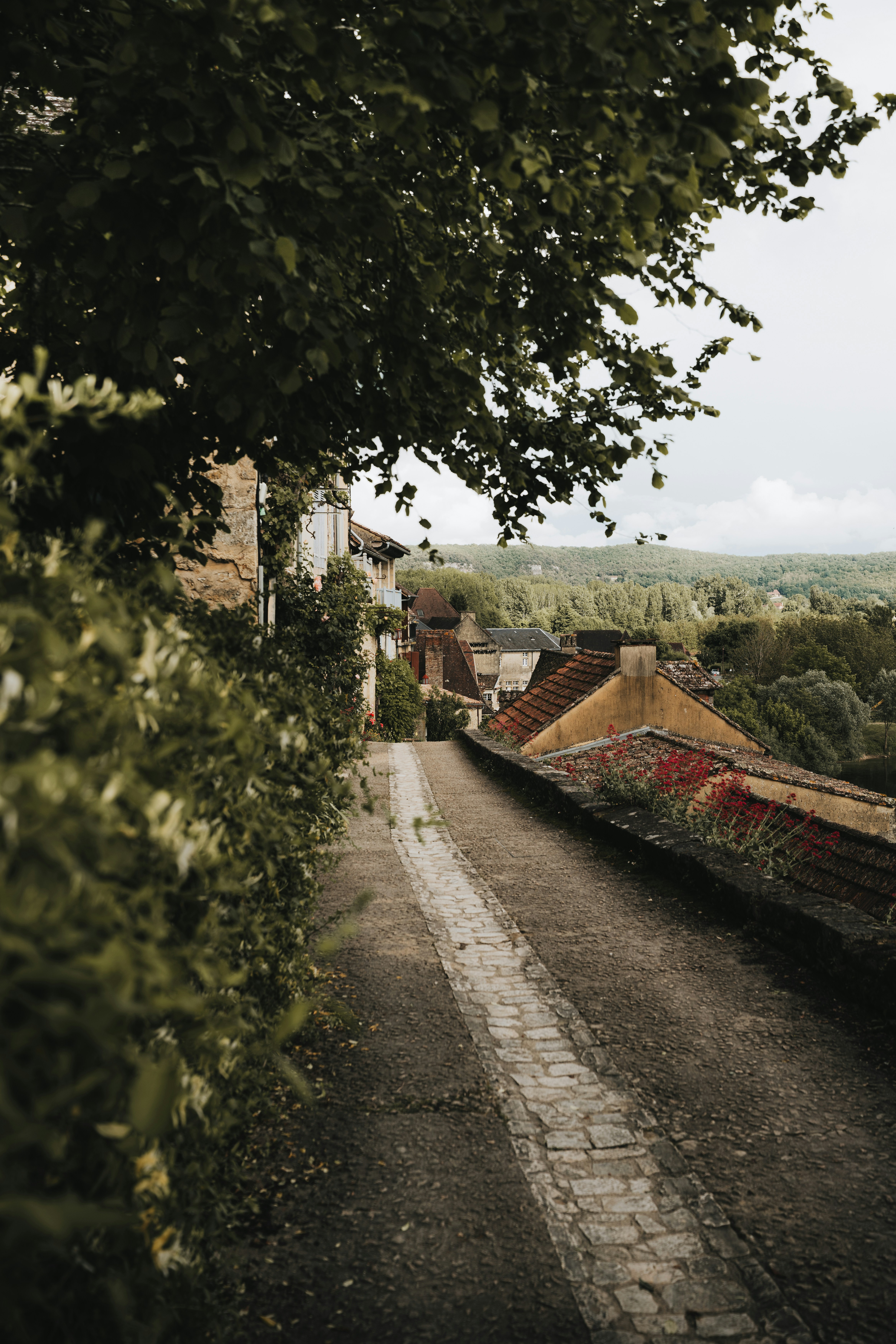 Narrow path with old buildings and green foliage.