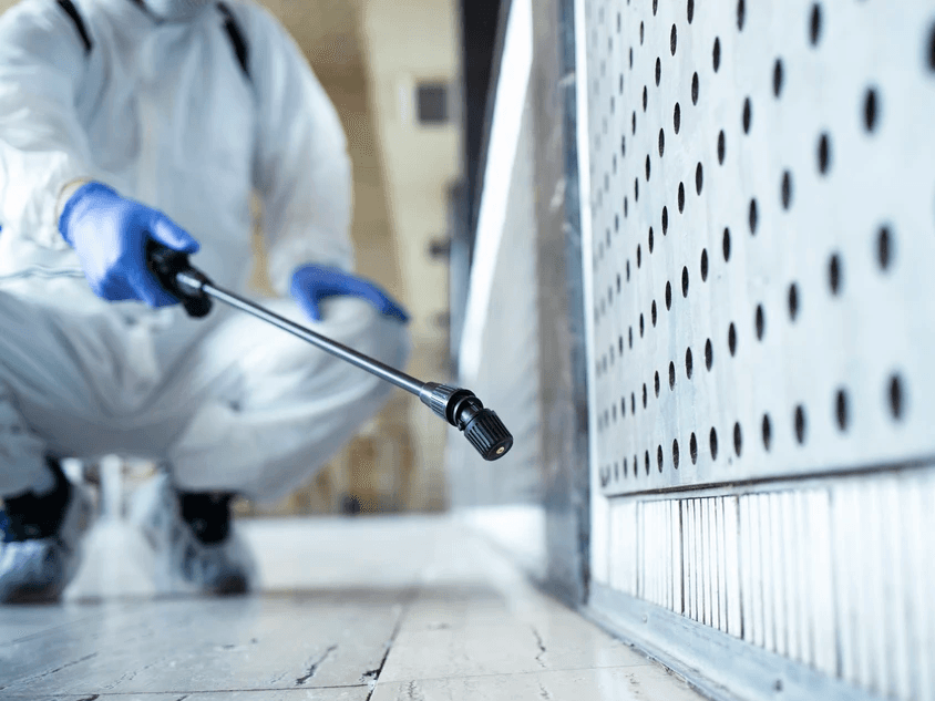Técnico aplicando desinfectante en la base de una pared con equipo de protección